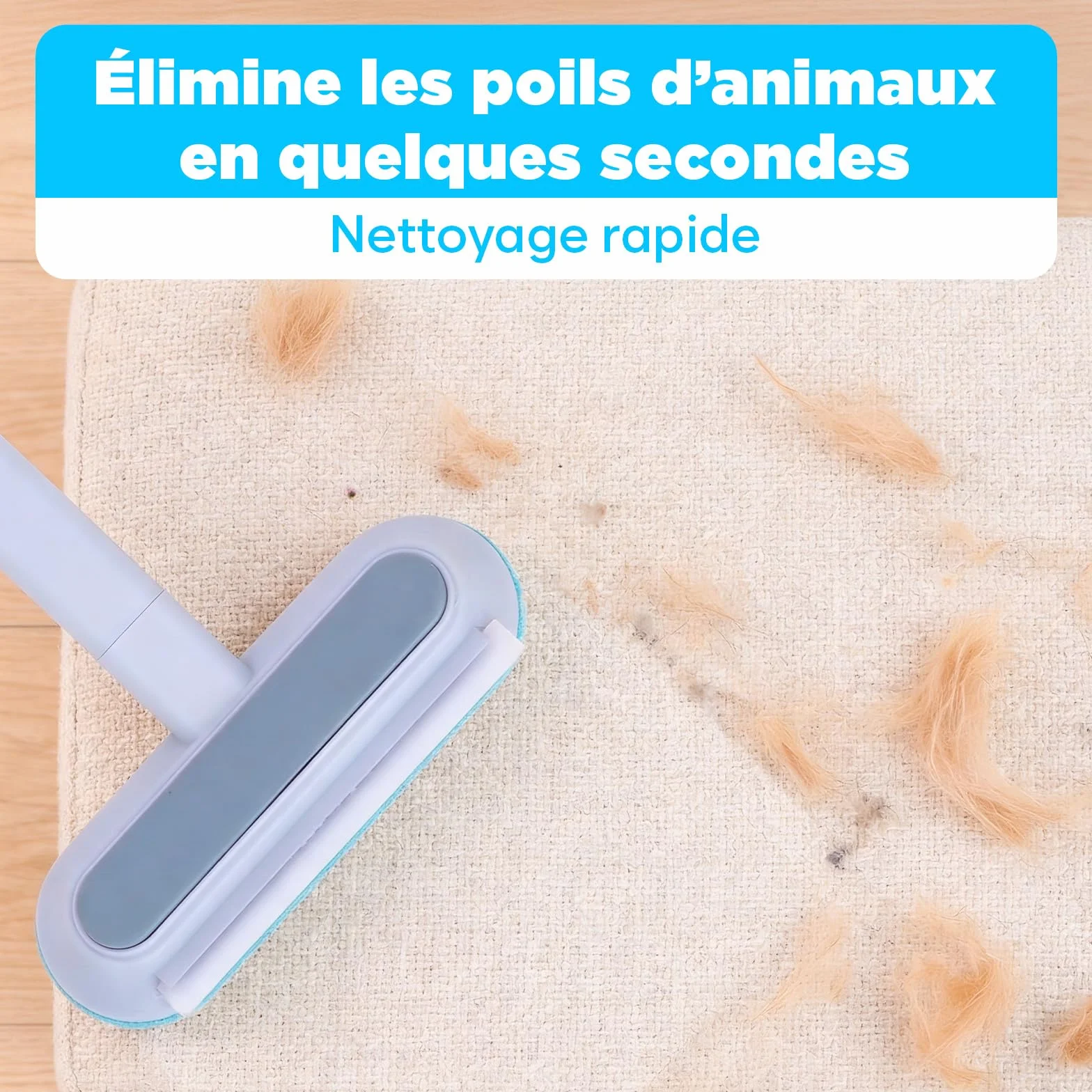 Ramasse-Poils Réutilisable pour Canapé, Tapis & Textiles, Brosse à Poils Animaux, Manche Amovible