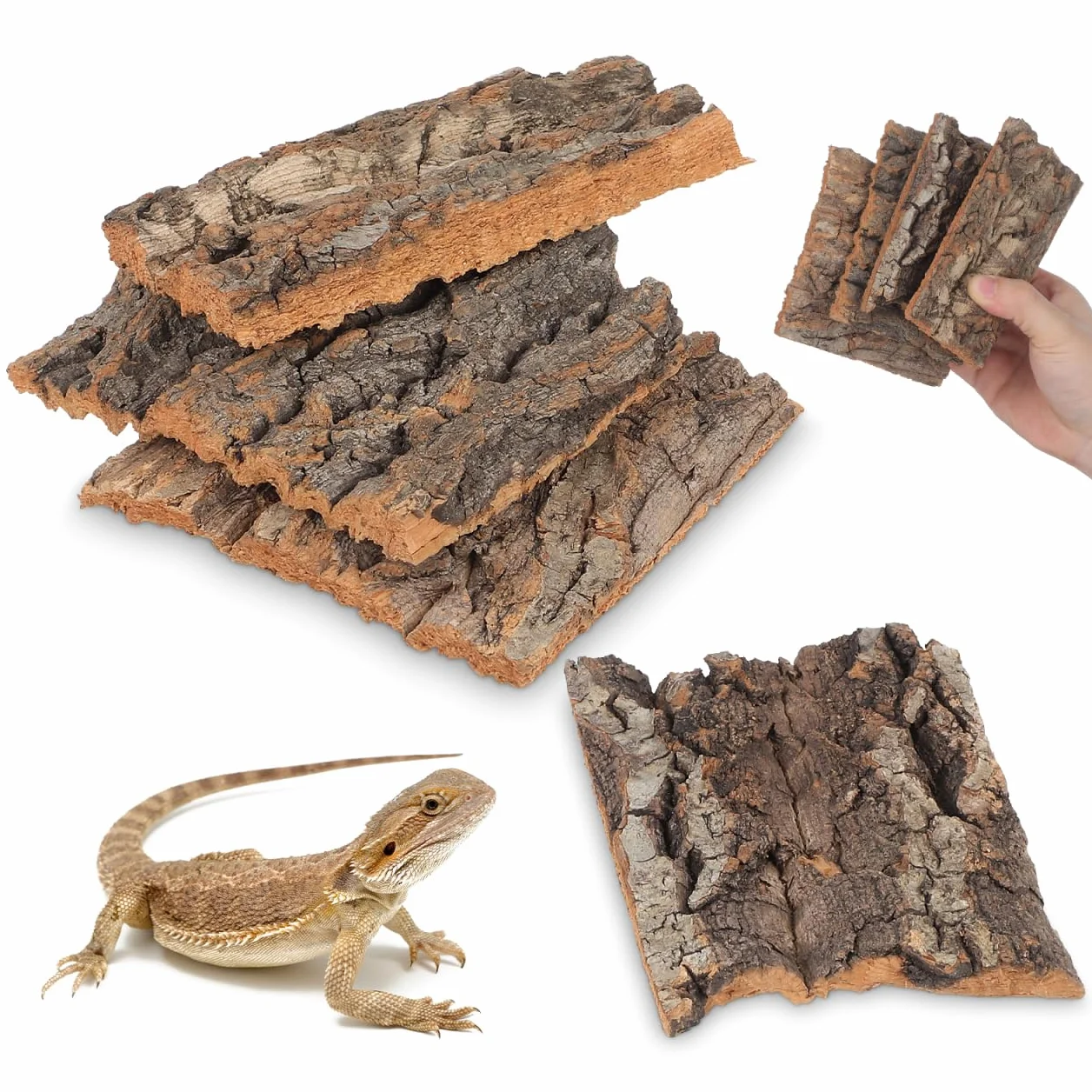 DOITOOL Lot de 4 Toiles de Fond en écorce de liège Naturel pour Reptiles Terrarium