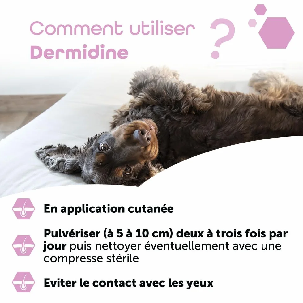 MP Labo Dermidine Spray Hygiène Cutanée Chien Chat Calendula Centella Asiatica Calmant Emollient Hydratant 125 ML
