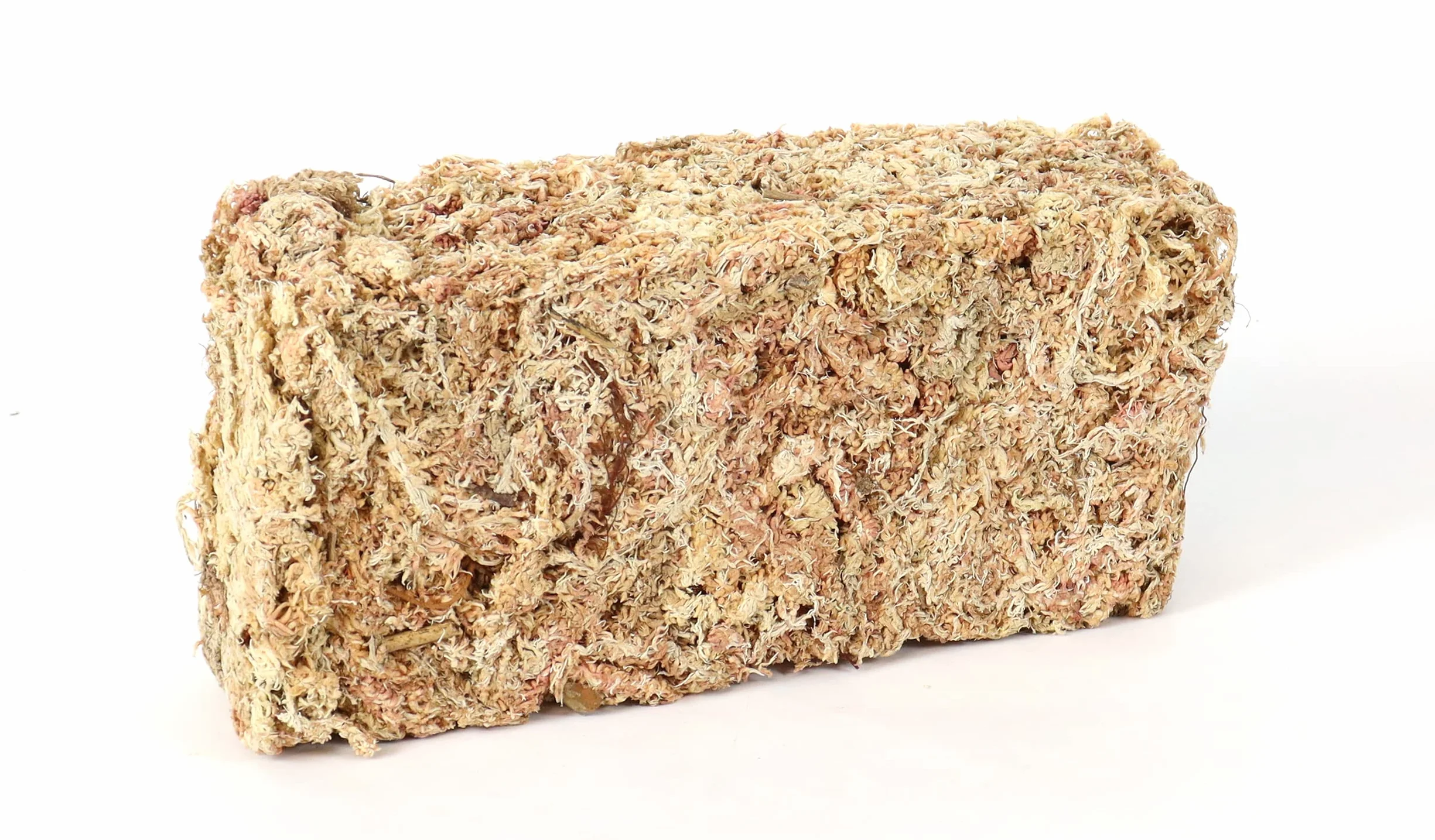 Sphaigne de sphaigne pour Terrarium et orchidées du Chili 150 g à 5000g