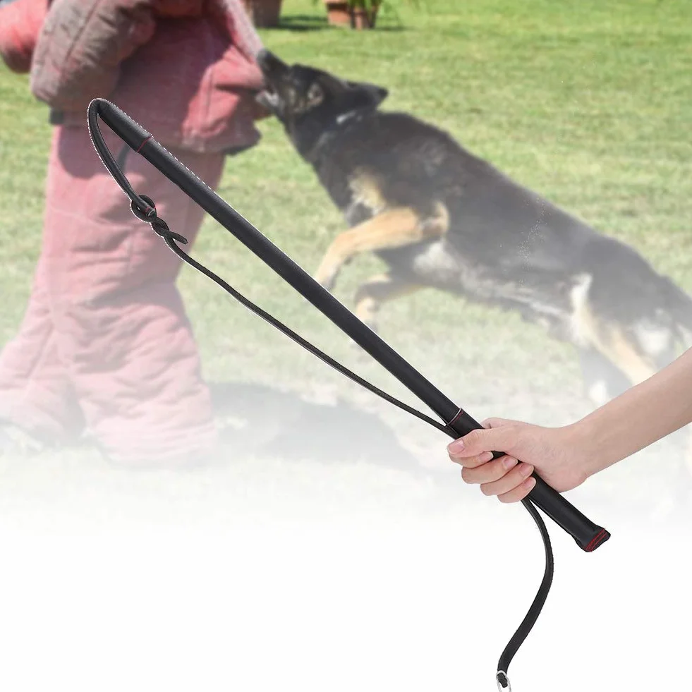 Martinet pour Chien Fouet Cuir Dressage Taille Moyenne Peau de Vache