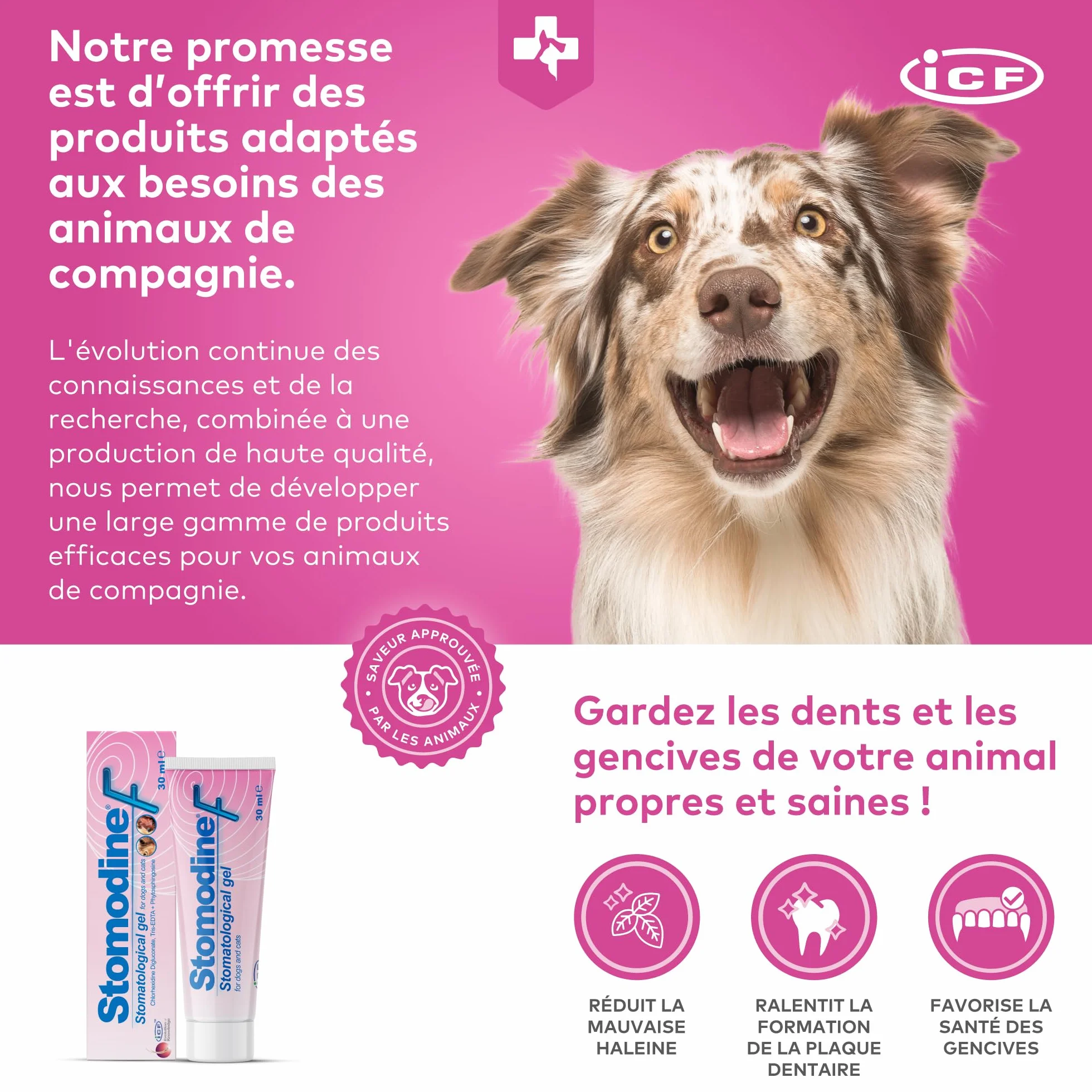 ICF Stomodine F Gel Appétent Hygiène Buccale Chiens Chats 30ml