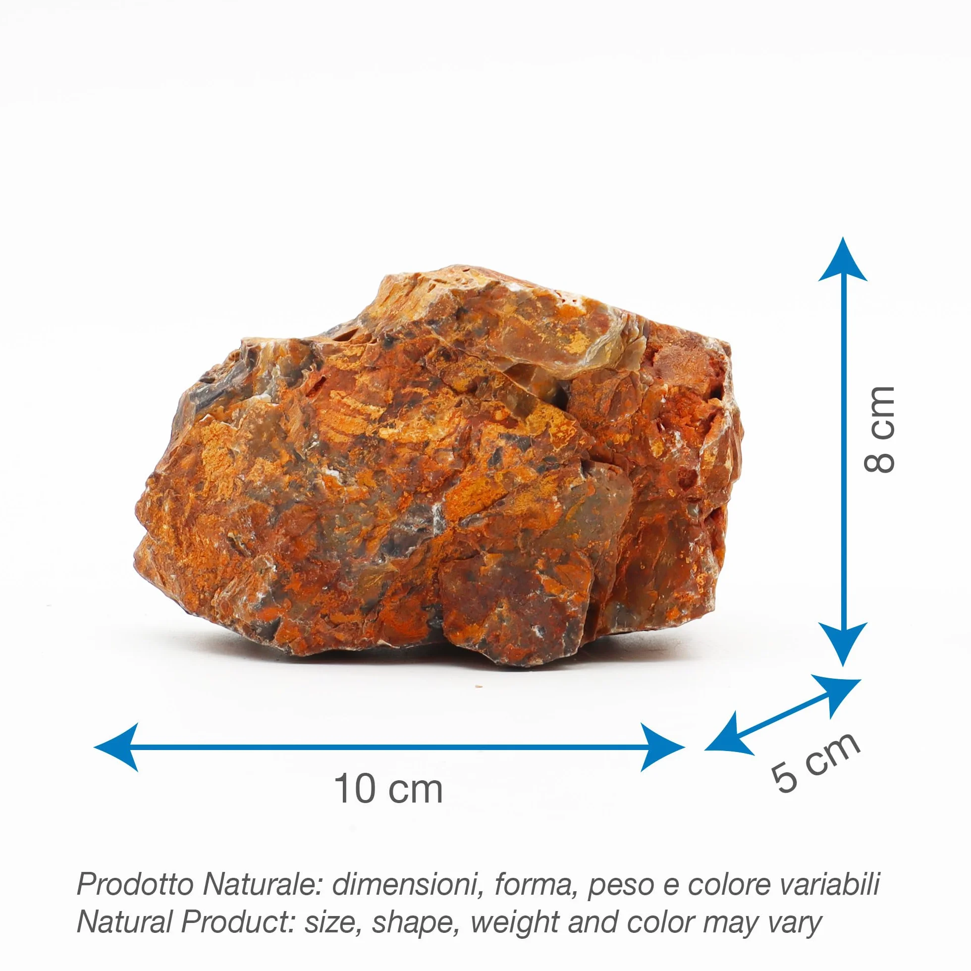Amtra Roccia Pétrifiée M 720 gr
