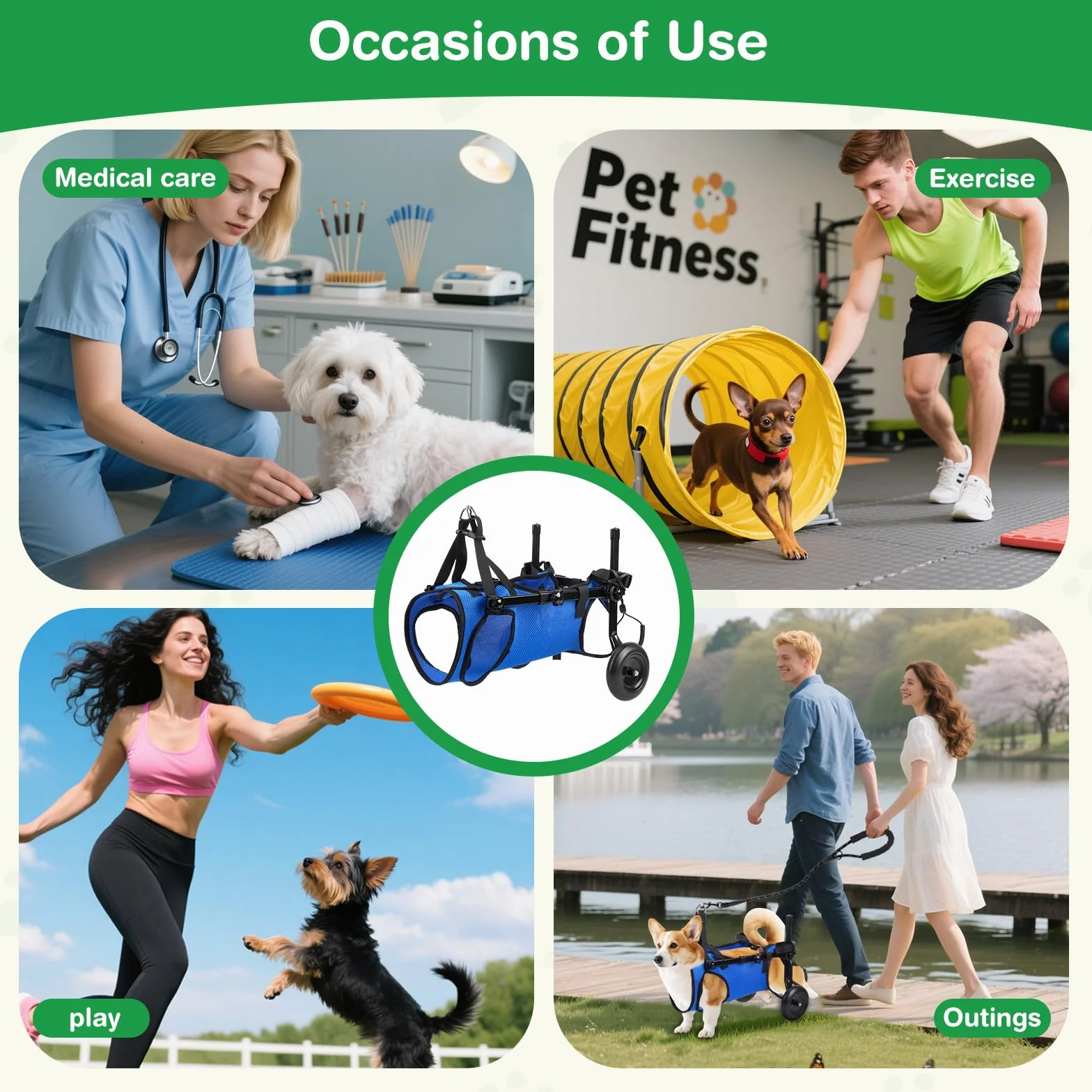 Fauteuil roulant réglable pour petits animaux de compagnie - Support jambe arrière pliable avec roues - Taille M