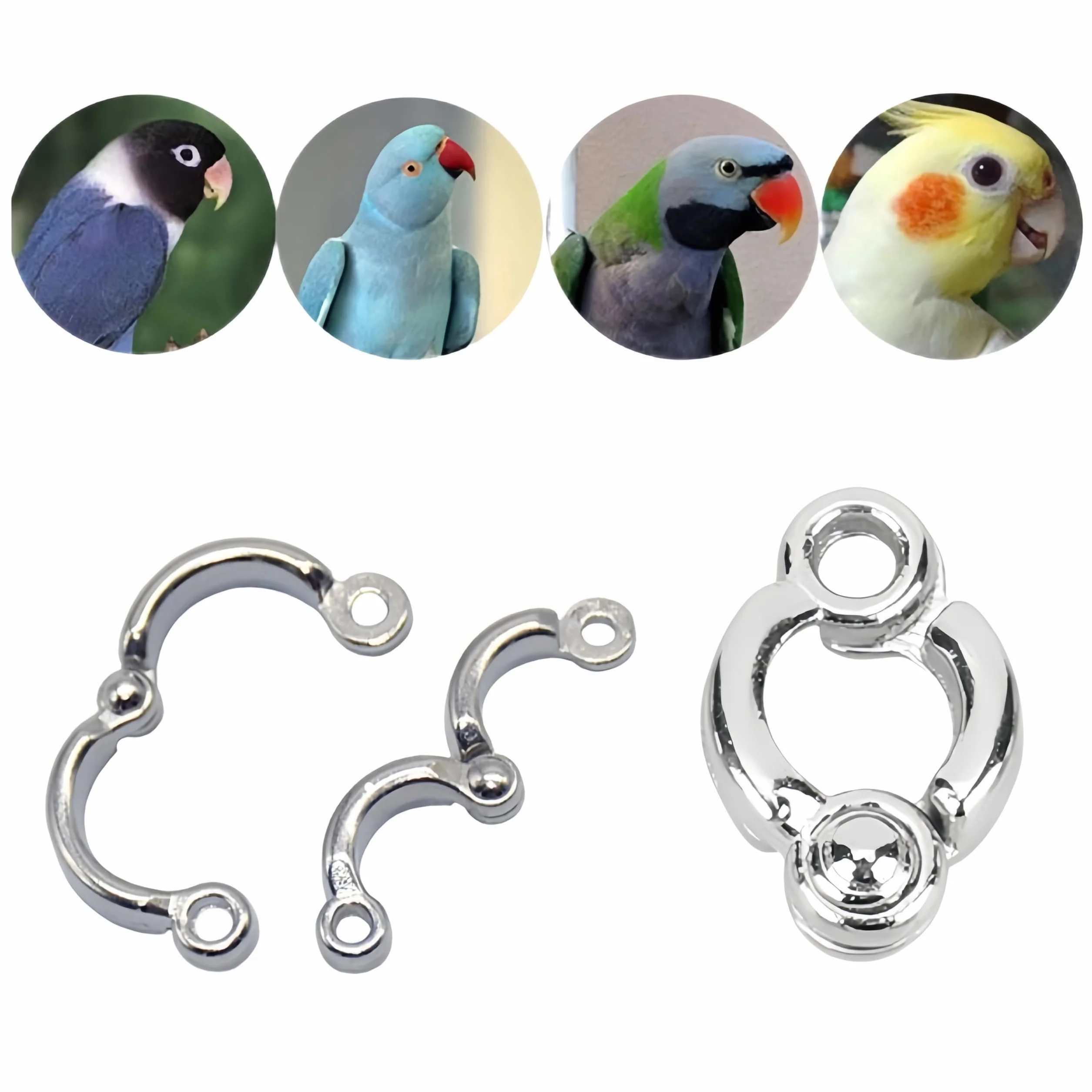 Lot de 6 anneaux pour pattes de perroquet, anneau d'activités de formation pour oiseau