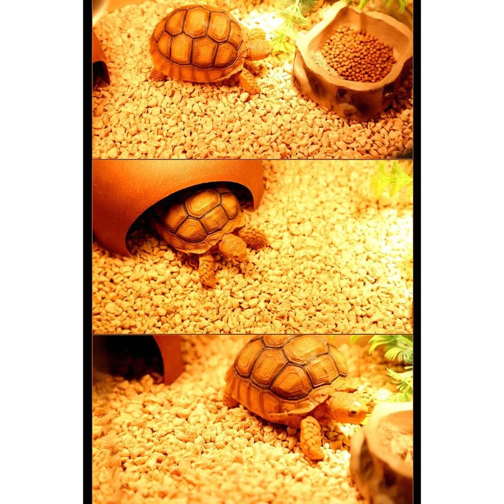 Colcolo Habitat pour Reptiles Literie Confortable Légère 500g
