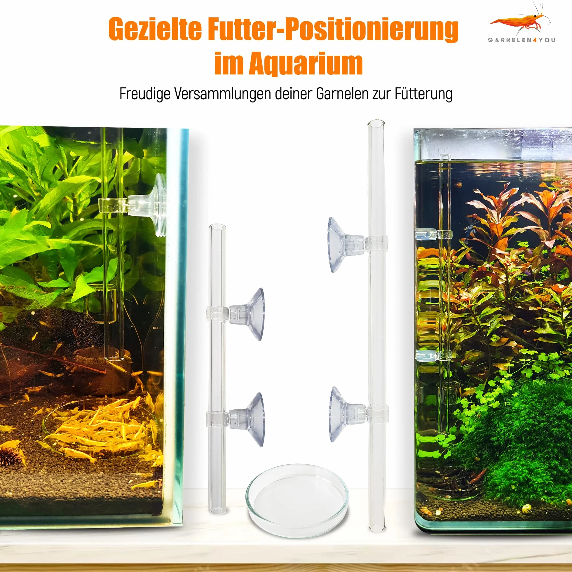 Tube d'alimentation en verre de laboratoire 28 cm – Fabriqué en Allemagne – Mangeoire pour crevettes – Verre incassable