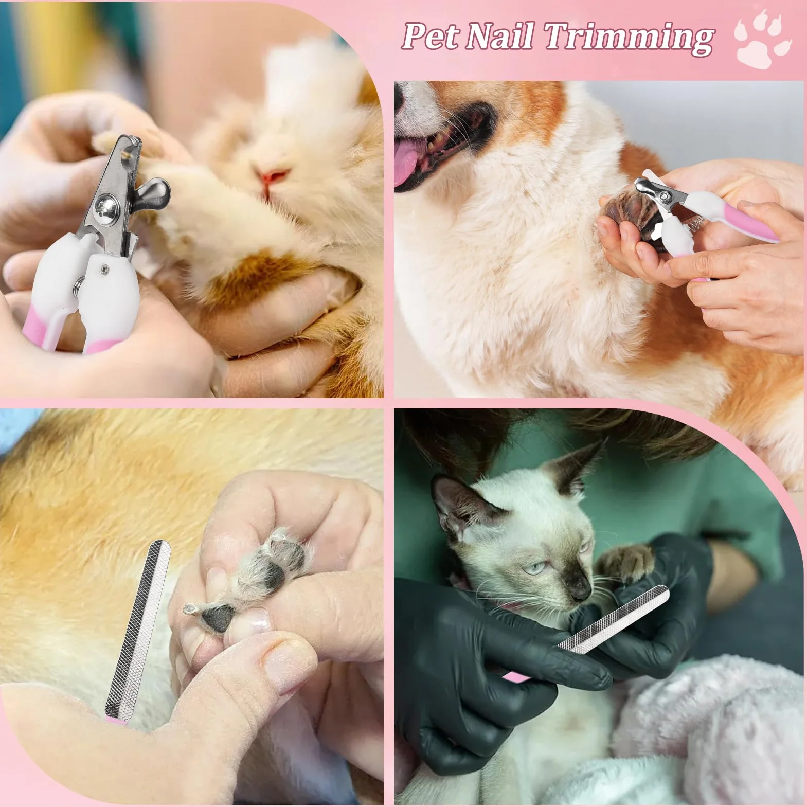 Kit de Toilettage pour Lapin 8 Pièces avec Coupe-ongles, Lime, Peigne à Puces, Gant de Bain, Brosse