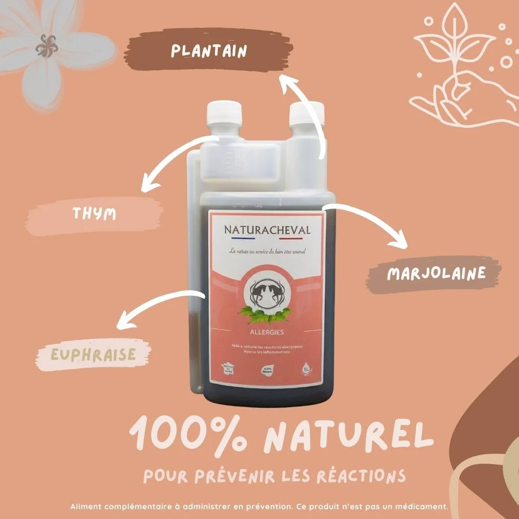 Allergie Cheval & Dermite – Complément Naturel Anti Démangeaisons – Apaise Irritations & Réactions Cutanées