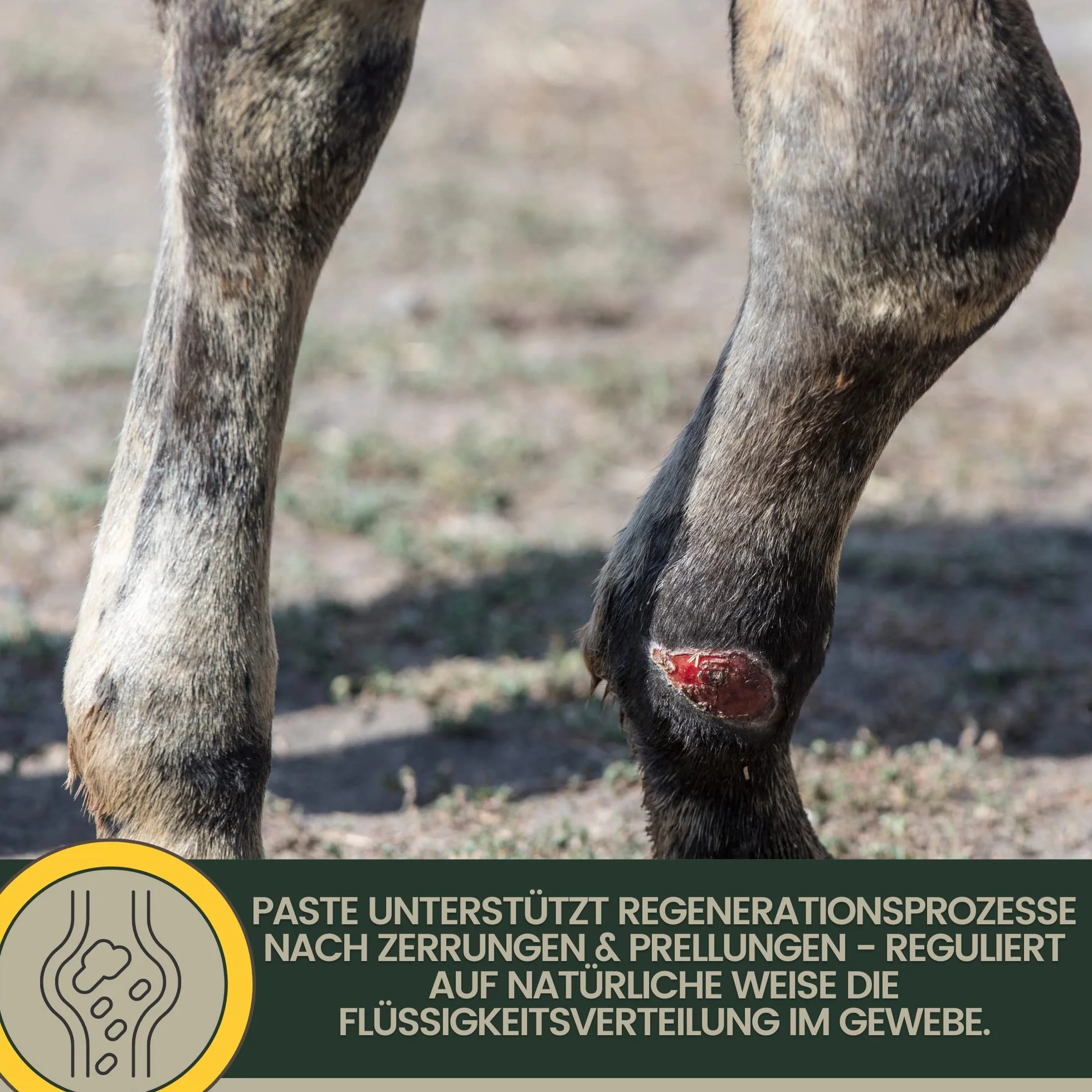 Emma Argile pour Chevaux à l’Arnica 2x1,5 kg Cataplasme Refroidissant Jambes Tendons