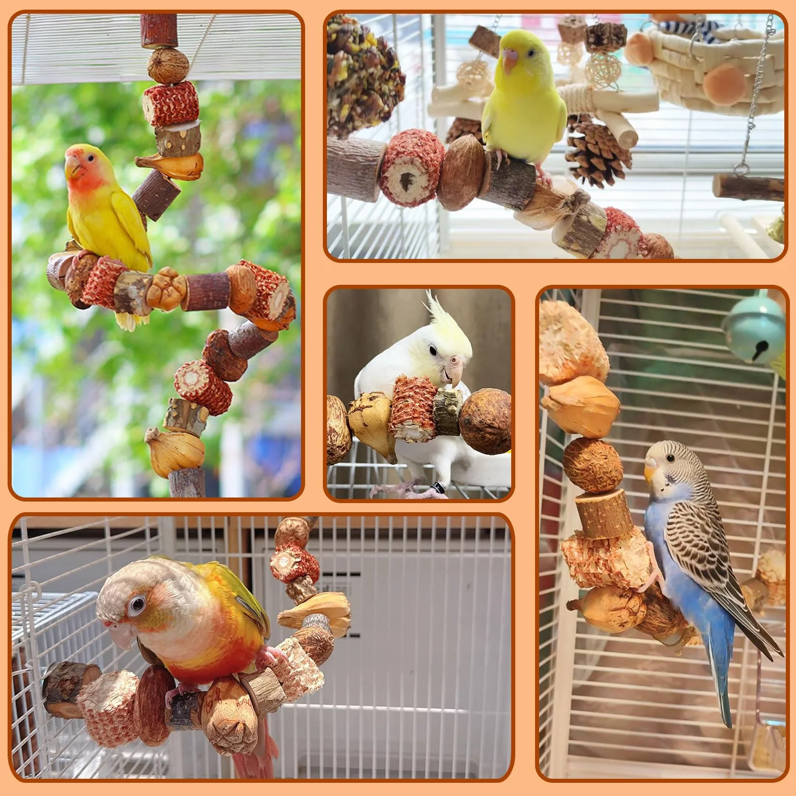 Perchoir Perroquet 80cm Oiseaux Jouet Perruche Cage Accessoire Calopsitte Inséparables Canaris