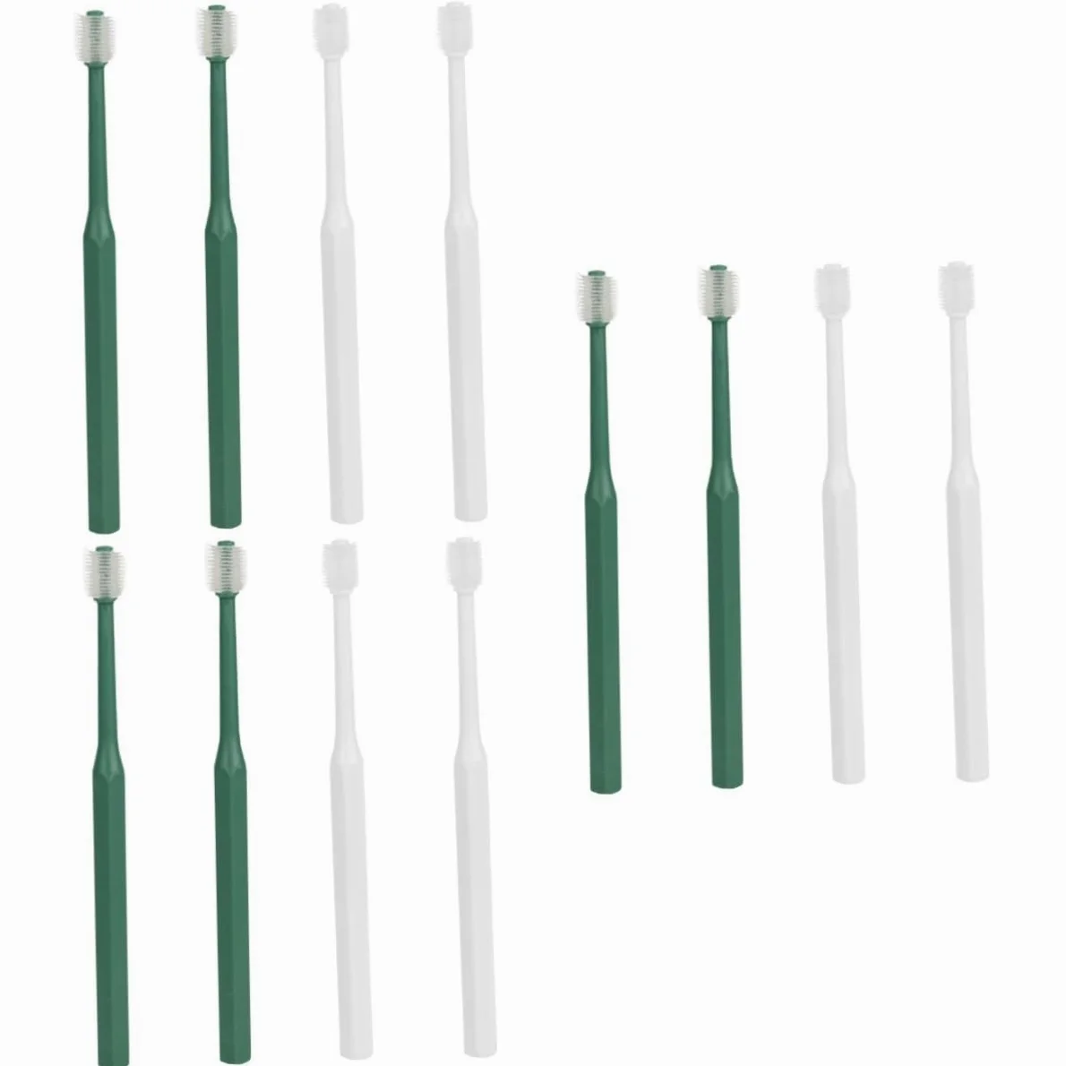 Milisten 12pièces Brosse à Dents Pour Animaux De Compagnie Brosse Pour Nettoyage Oral Et Chiens De Blanches