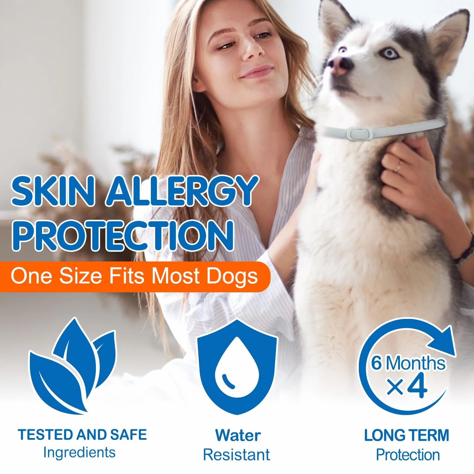 Collier Anti Puces pour Chien Naturel 24 Mois Réglable Imperméable 4pces