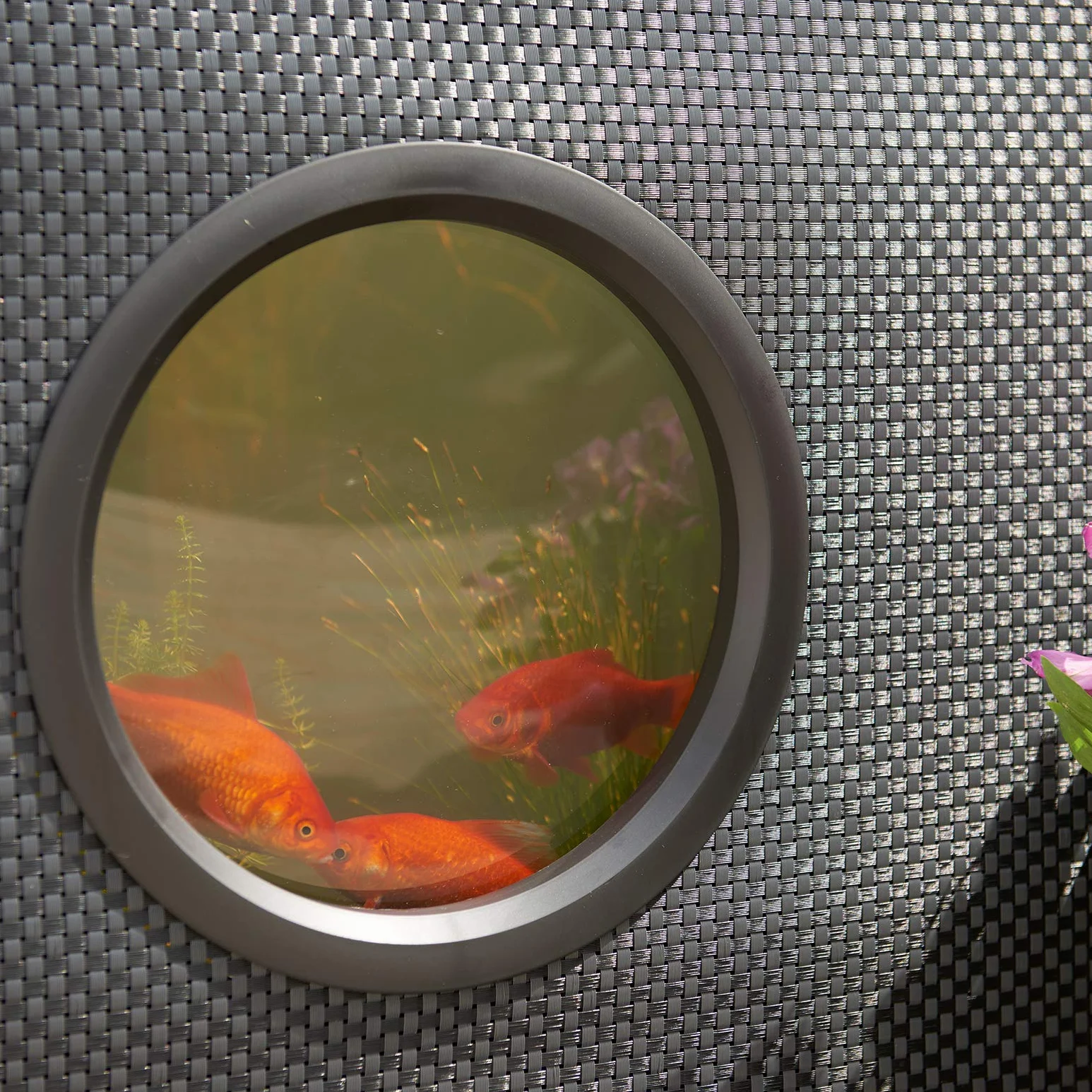 HOZELOCK Aquarium Moderne 500L Noir Installation Rapide Sans Outils Twist & Lock Hors-Sol 3 Fenêtres latérales