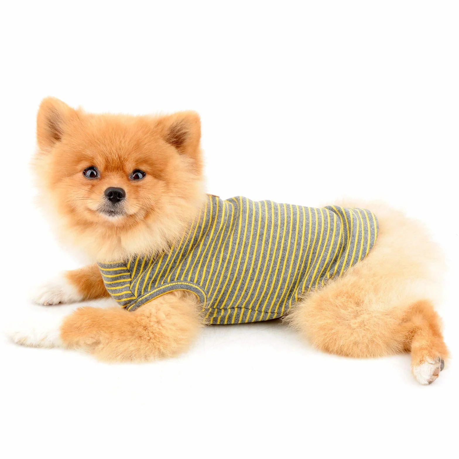 PAIDEFUL Chemise britannique rayée pour petit chien, gilet pour chat, T-shirt en coton doux pour animal de compagnie