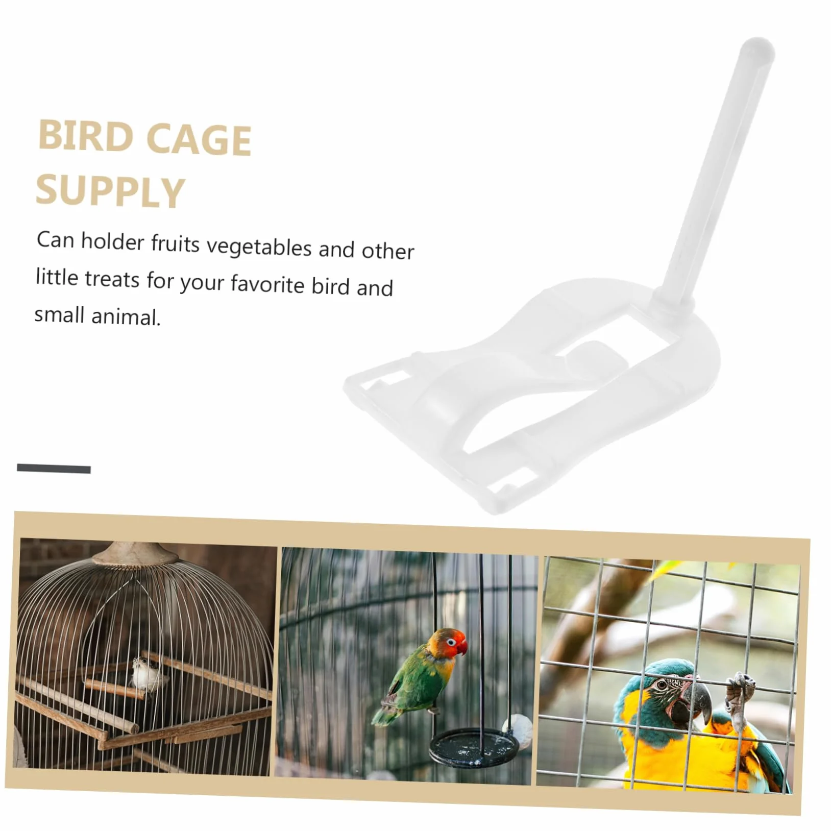 BESPORTBLE Support Os Seiche Abs pour Cage à Oiseaux Pince Alimentaire Polyvalente Légumes Friandises Accessoire Perruches Canaris Cockatiels Finches