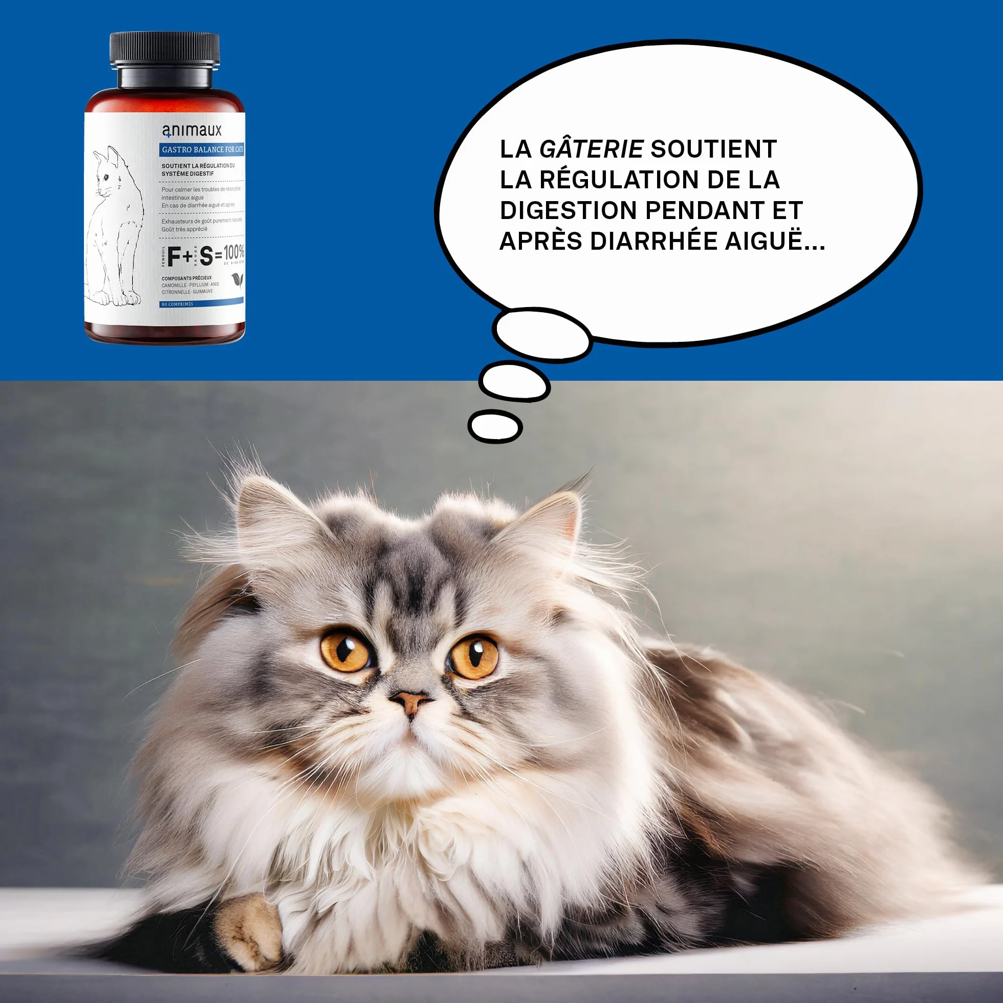 Probiotiques pour Chats 90 Comprimés à Mâcher Complément Alimentaire Favorise Digestion Naturelle Fenouil Sauge Psyllium Gastro Balance