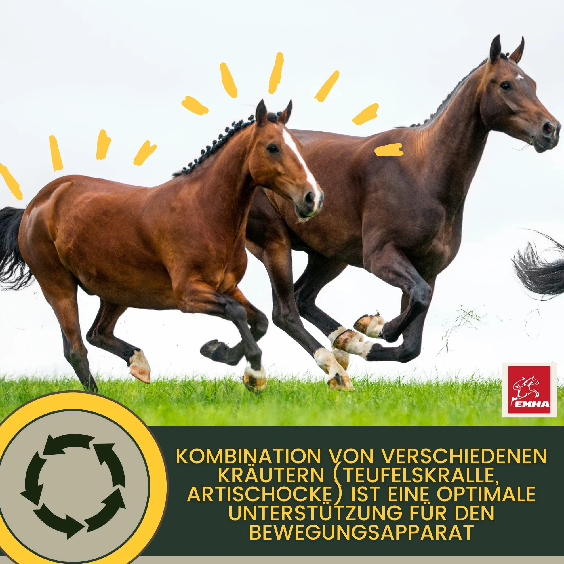 Griffe du diable cheval 1L articulation plus griffe du diable naturelle chevaux I chevaux liquide articulations pour le soutien de l'appareil locomoteur & les articulations en cas d'arthrose cheval
