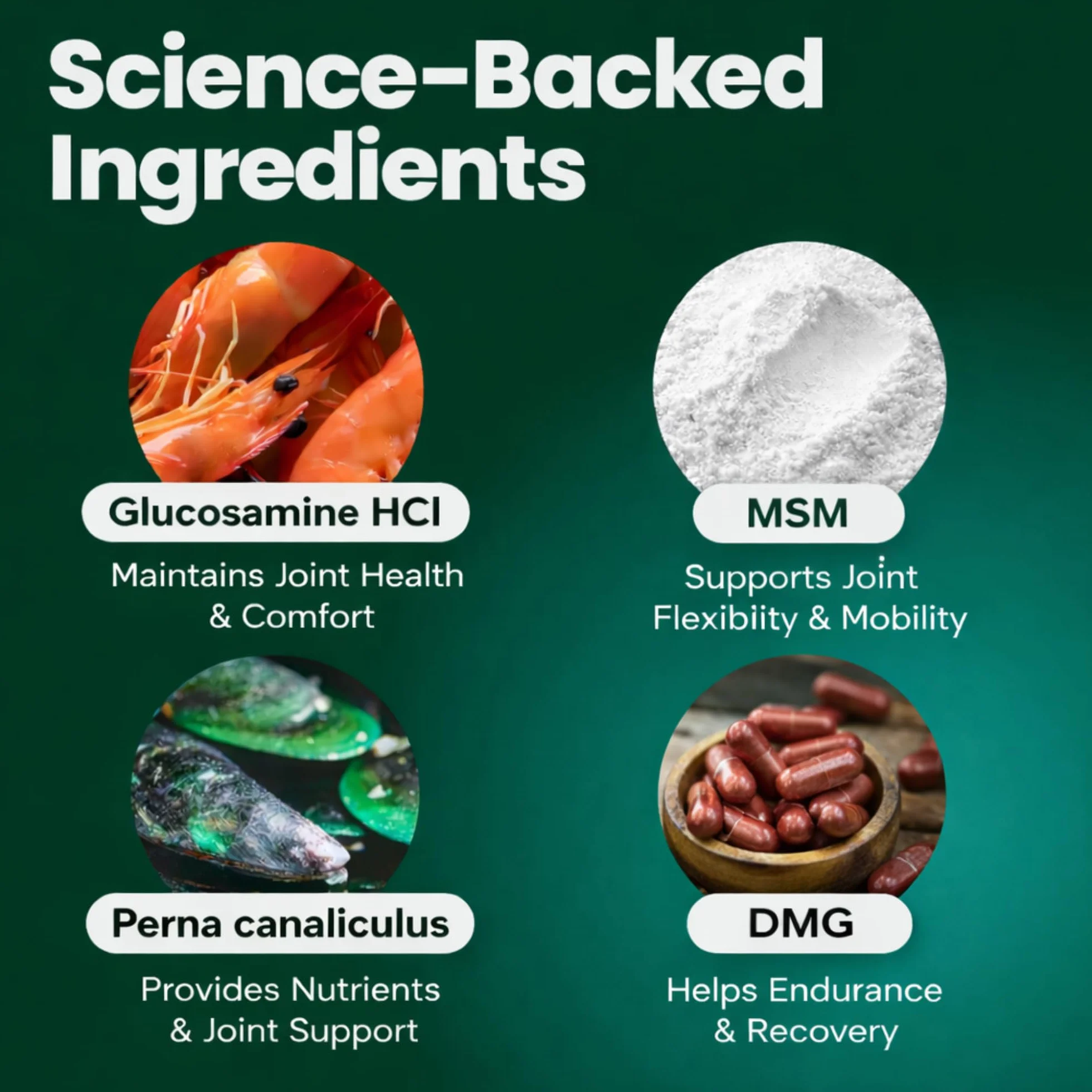 Vetri-Science Laboratories Glyco Flex 3 Complément Alimentaire pour Chats Hanche et Articulation
