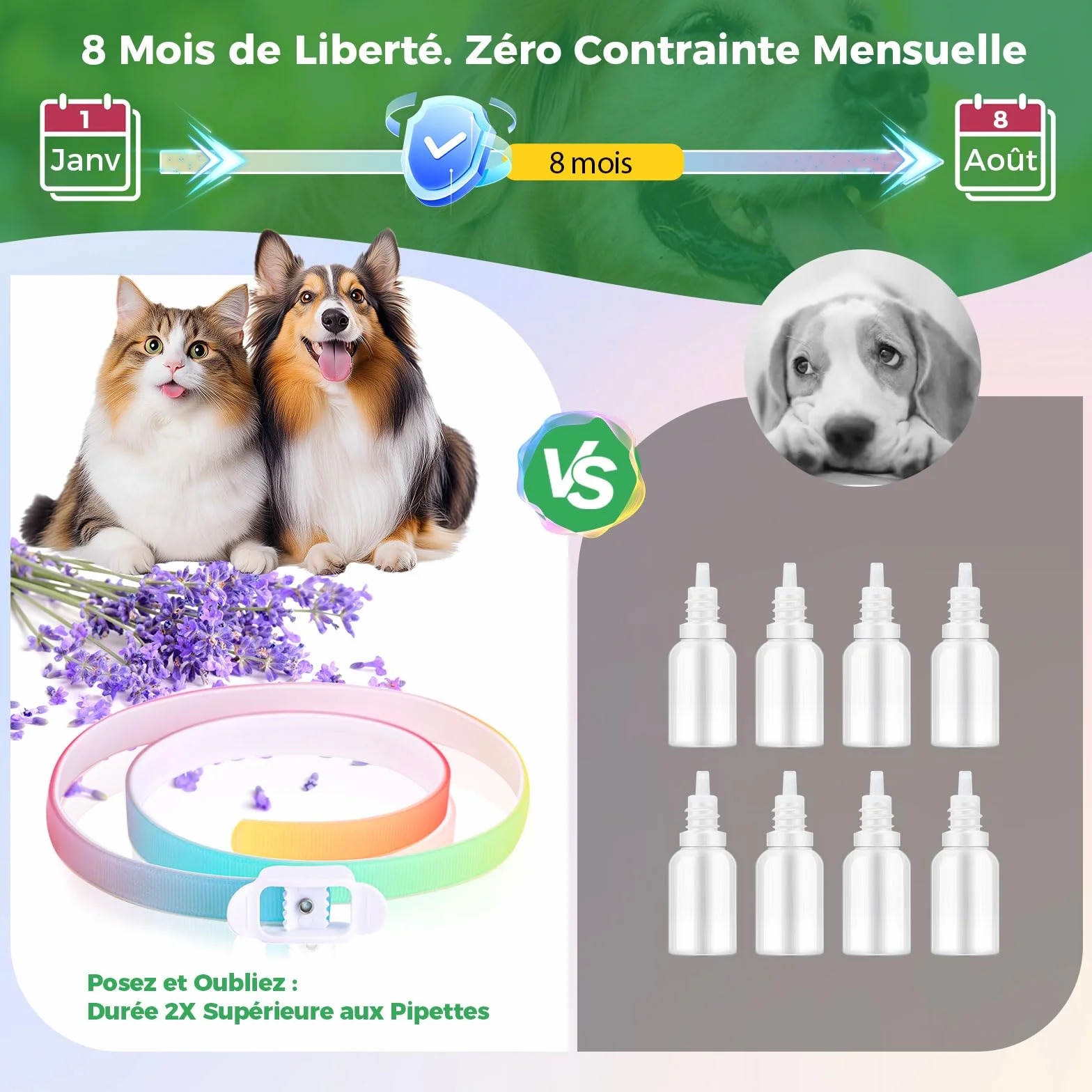 Collier Anti-Parasites pour Chien, Protection 8 Mois, Anti-Puces & Tiques, Réglable 69cm, Résistant à l'eau