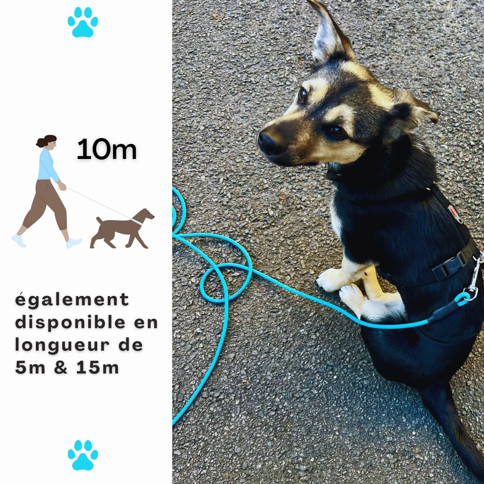 Laisse pour Chien 10 m Étanche Ronde sans Boucle Cyan Bleu 35 kg