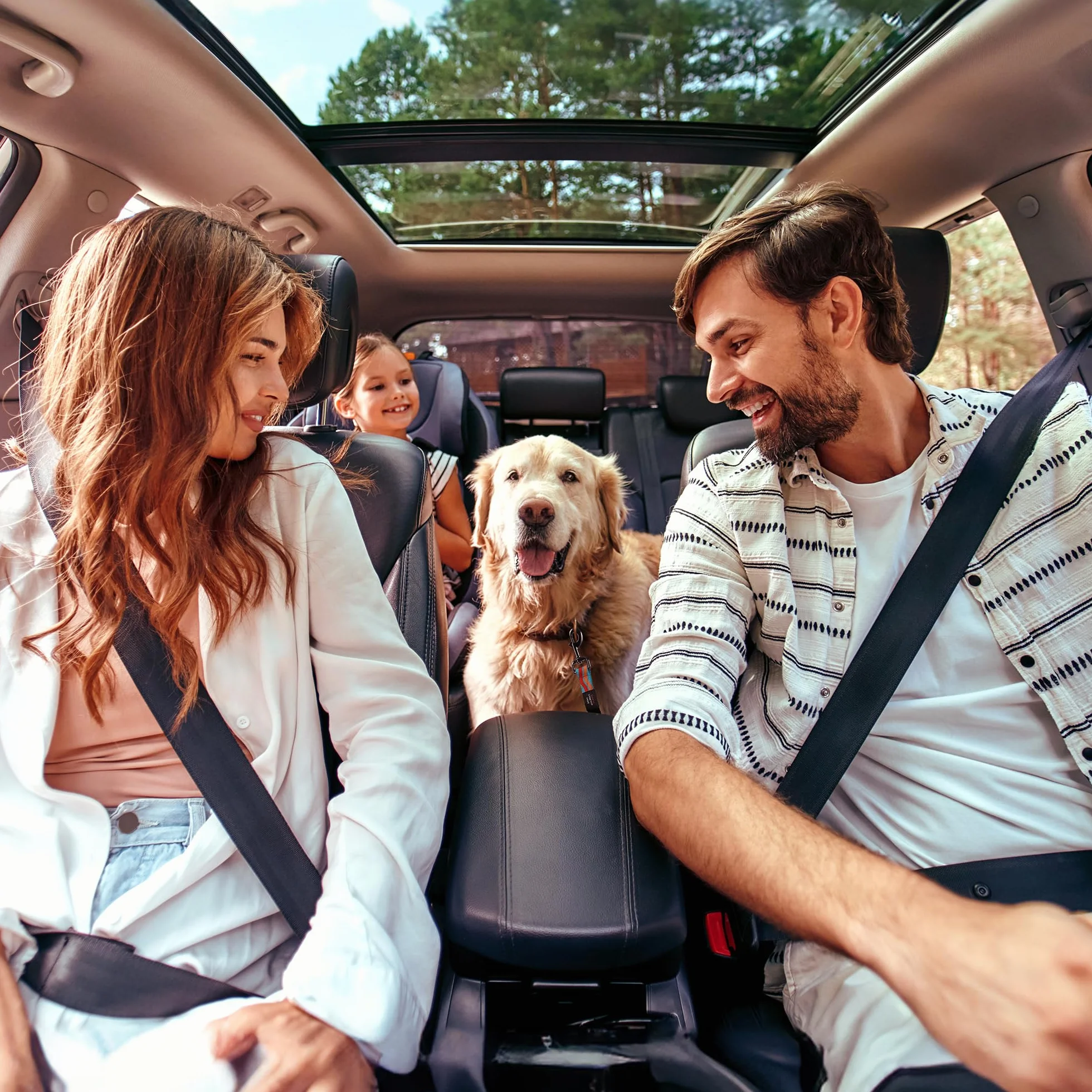 AYADA Ceinture Chien Voiture Sécurité Réglable Nylon Antichoc, Attache Chien Voyage Harnais Laisse Métal (Bleu Ciel)