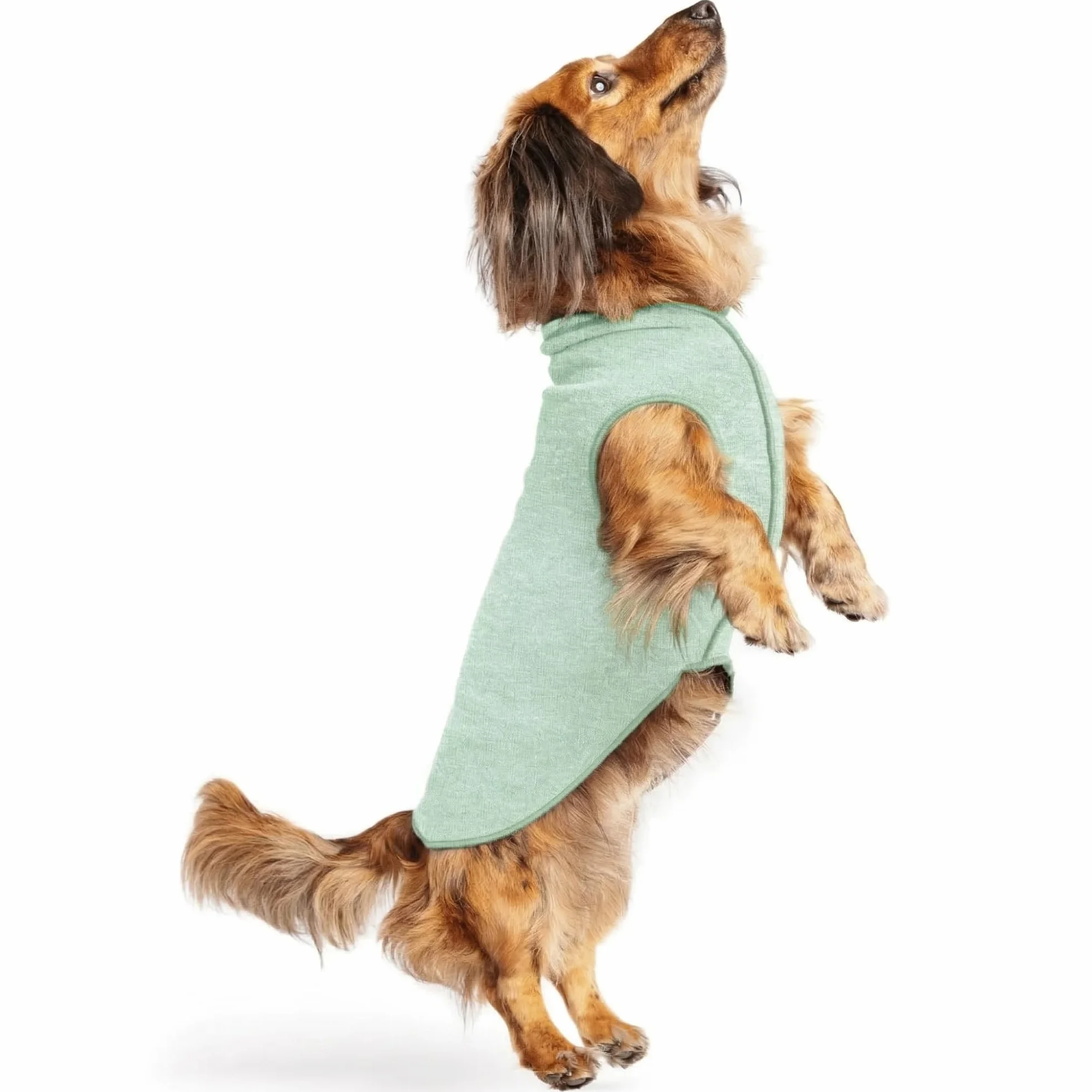 Gold Paw Sun Shield T-Shirt pour Chien - Protection UV - Soulage l'Anxiété - Lavable en Machine