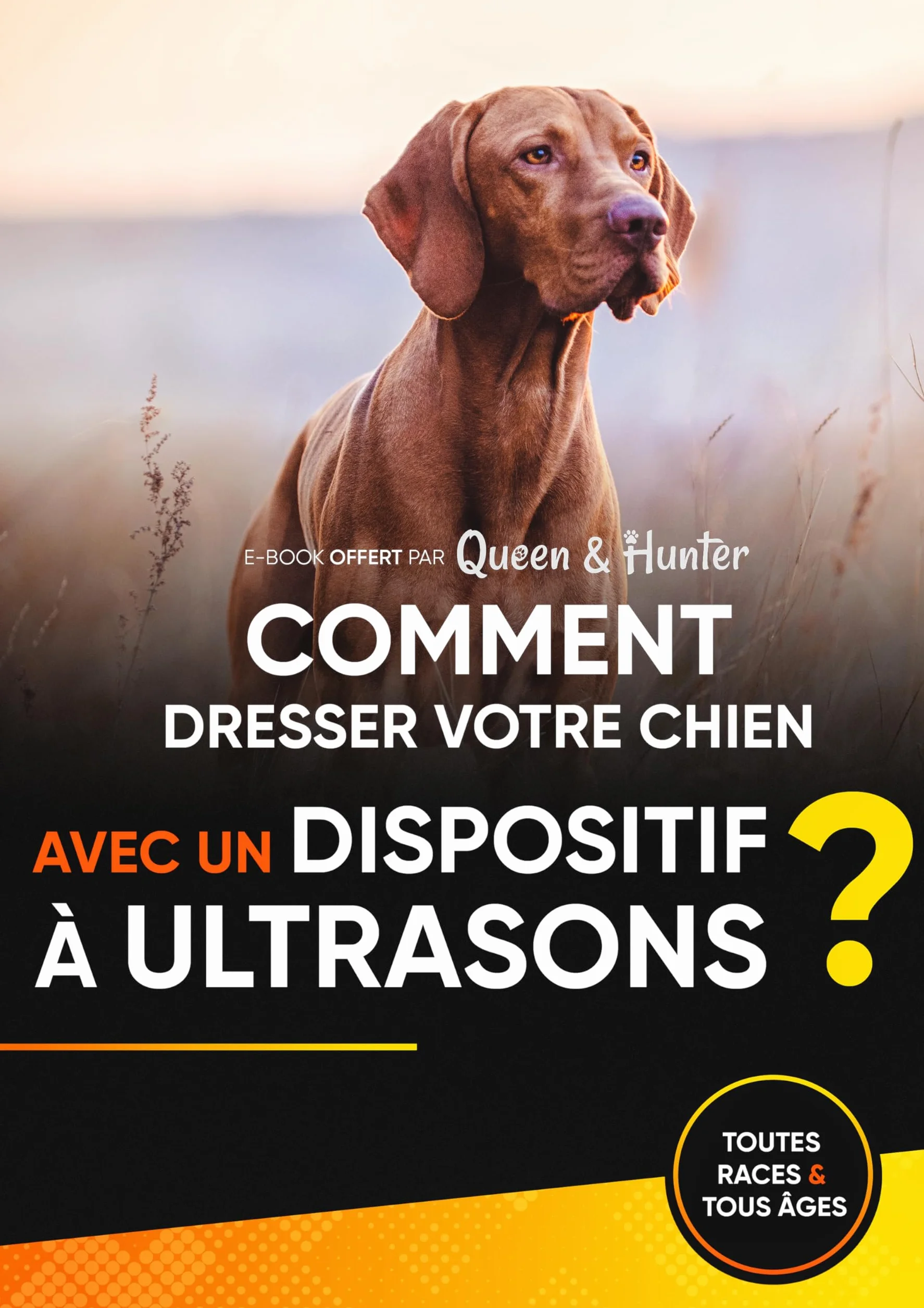 Anti Aboiement Chien Ultrason Dispositif Dressage sans Collier Électrique Portatif pour Petit et Grand Chiens