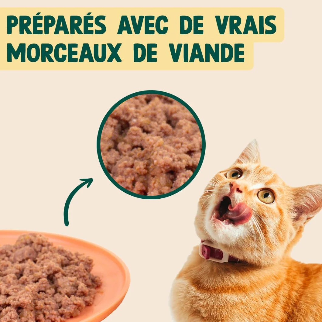 FRANKLIN Pâtées pour Chat sans Céréales 66% Viande Dinde Camomille Nourriture Humide Boite 12x100g