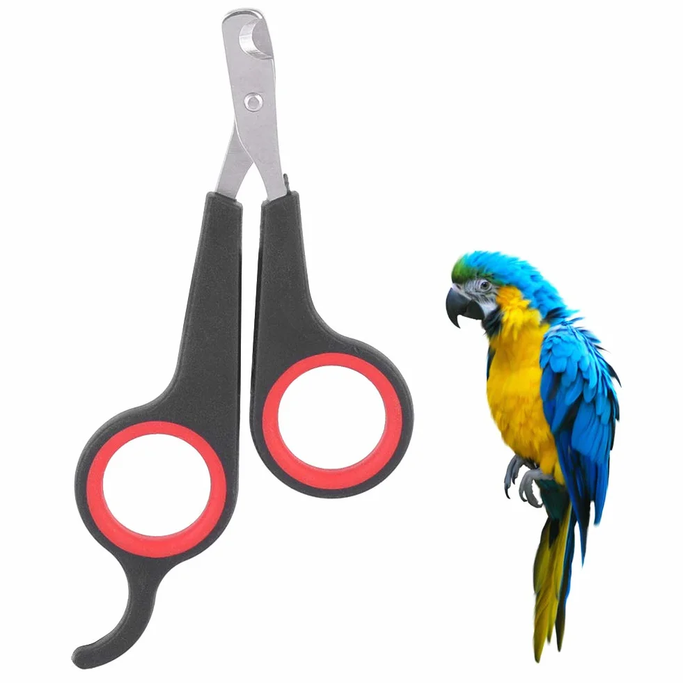 Coupe-Ongles pour Oiseaux, Outil de Toilettage pour Petits Animaux, Ciseaux Noire et Rouge