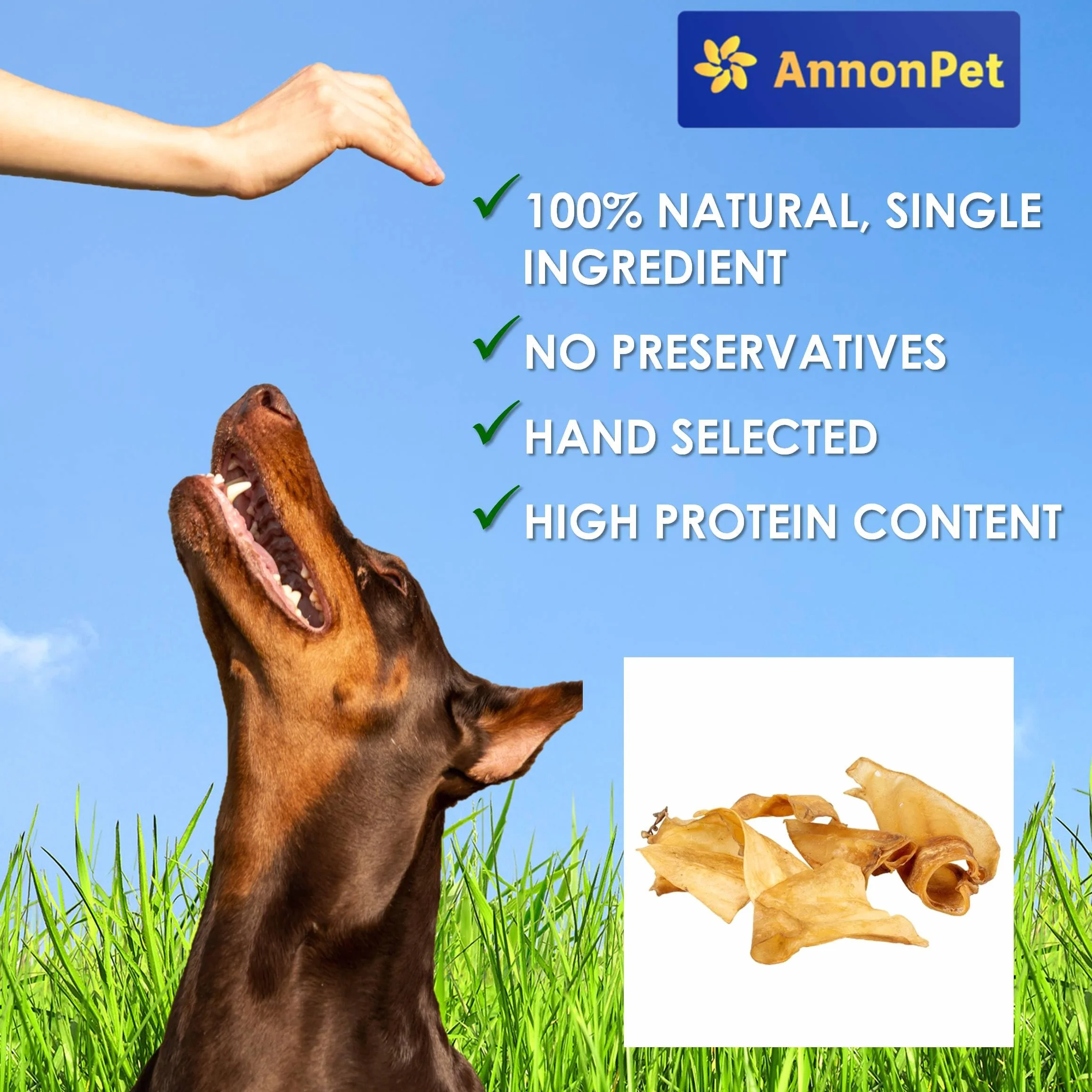 Lot de 10 oreilles de bœuf séchées pour chiens - Articles à mâcher naturels et faciles à digérer - Riche en protéines, sans additifs - Idéal pour les soins dentaires et la réduction du stress