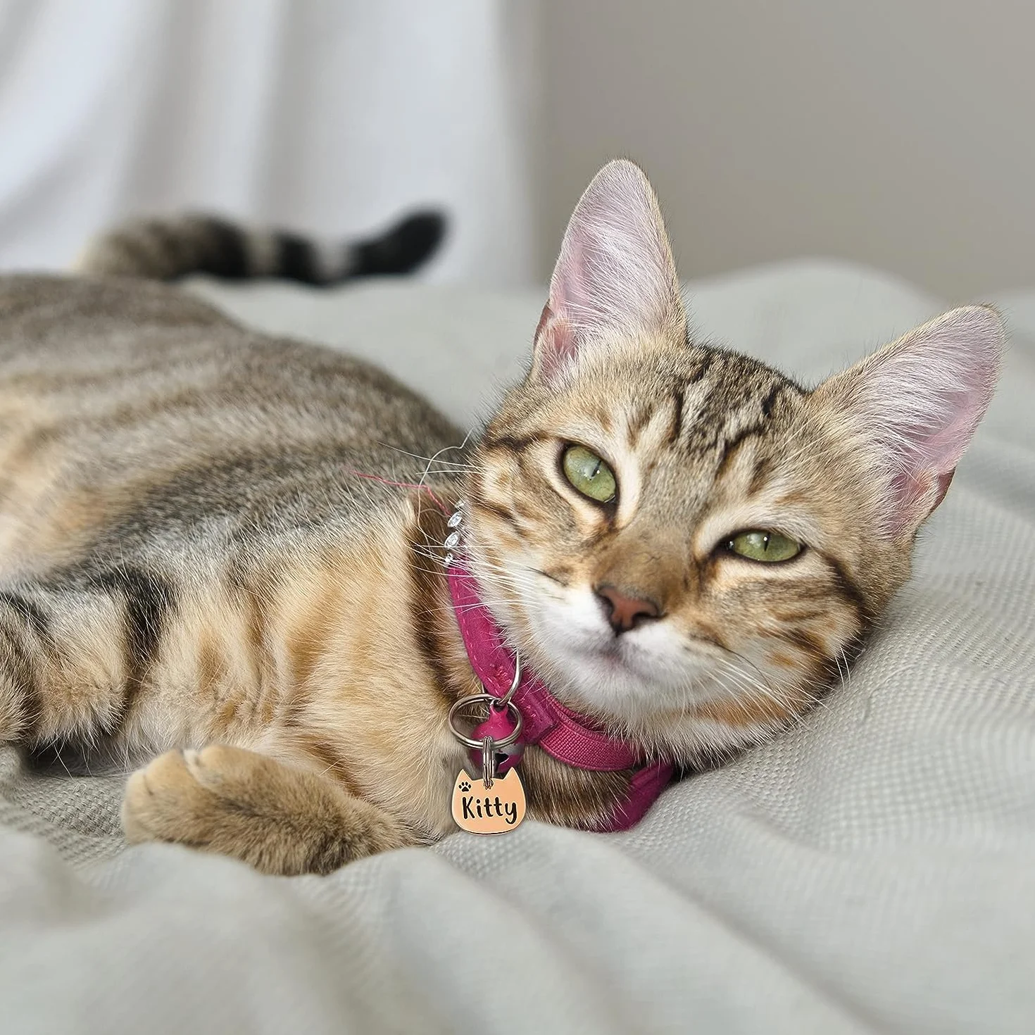 Médaille chat personnalisable acier inoxydable gravure laser France pendentif porte adresse collier