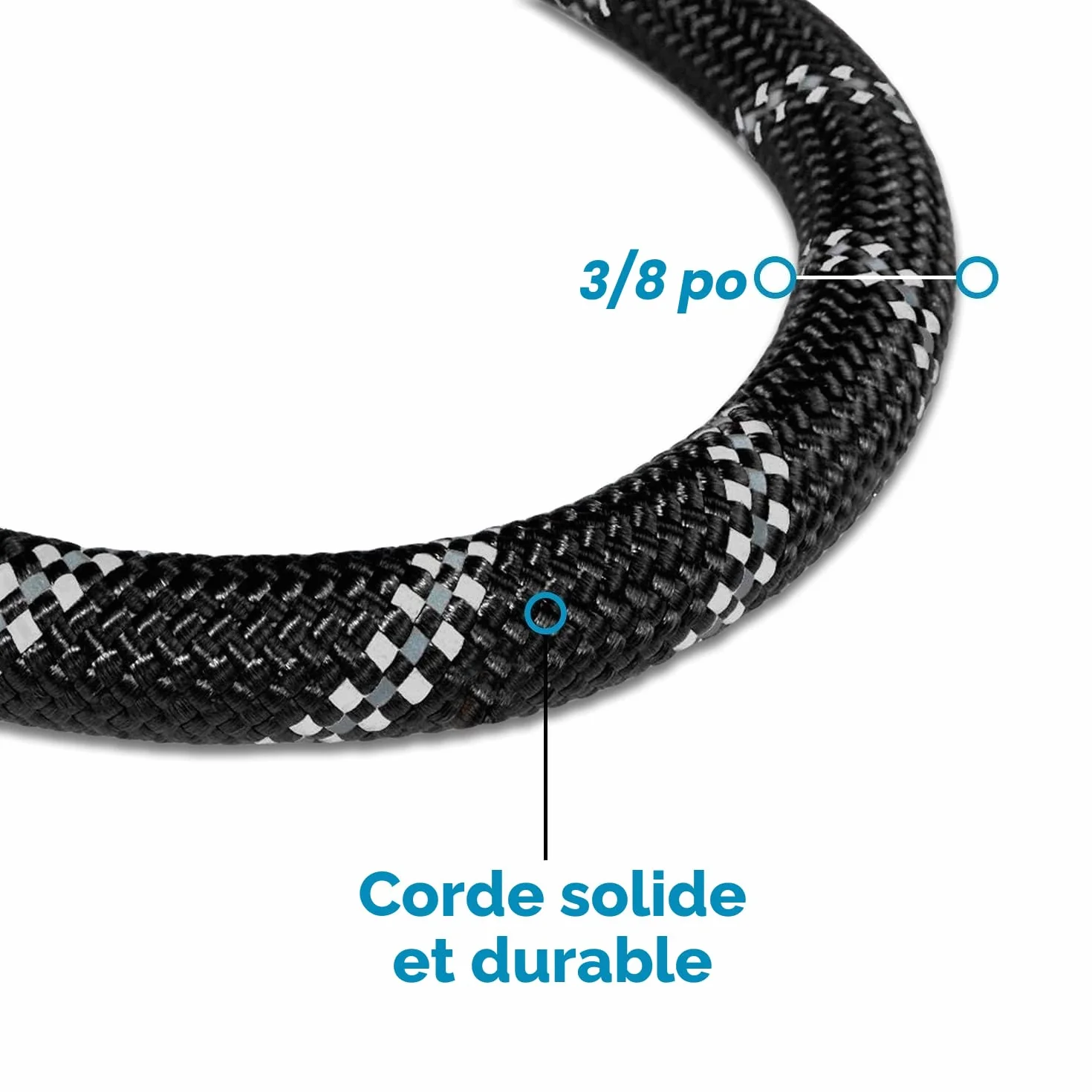 Laisse Chien Rembourrée Poignée Souple 1.5 M Noir EDIPETS