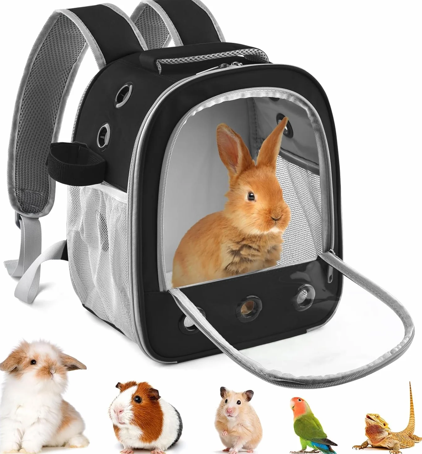 Sac à dos pour cochon d'Inde - Sac de voyage portable pour petits animaux avec porte-bouteille et support amovible noir