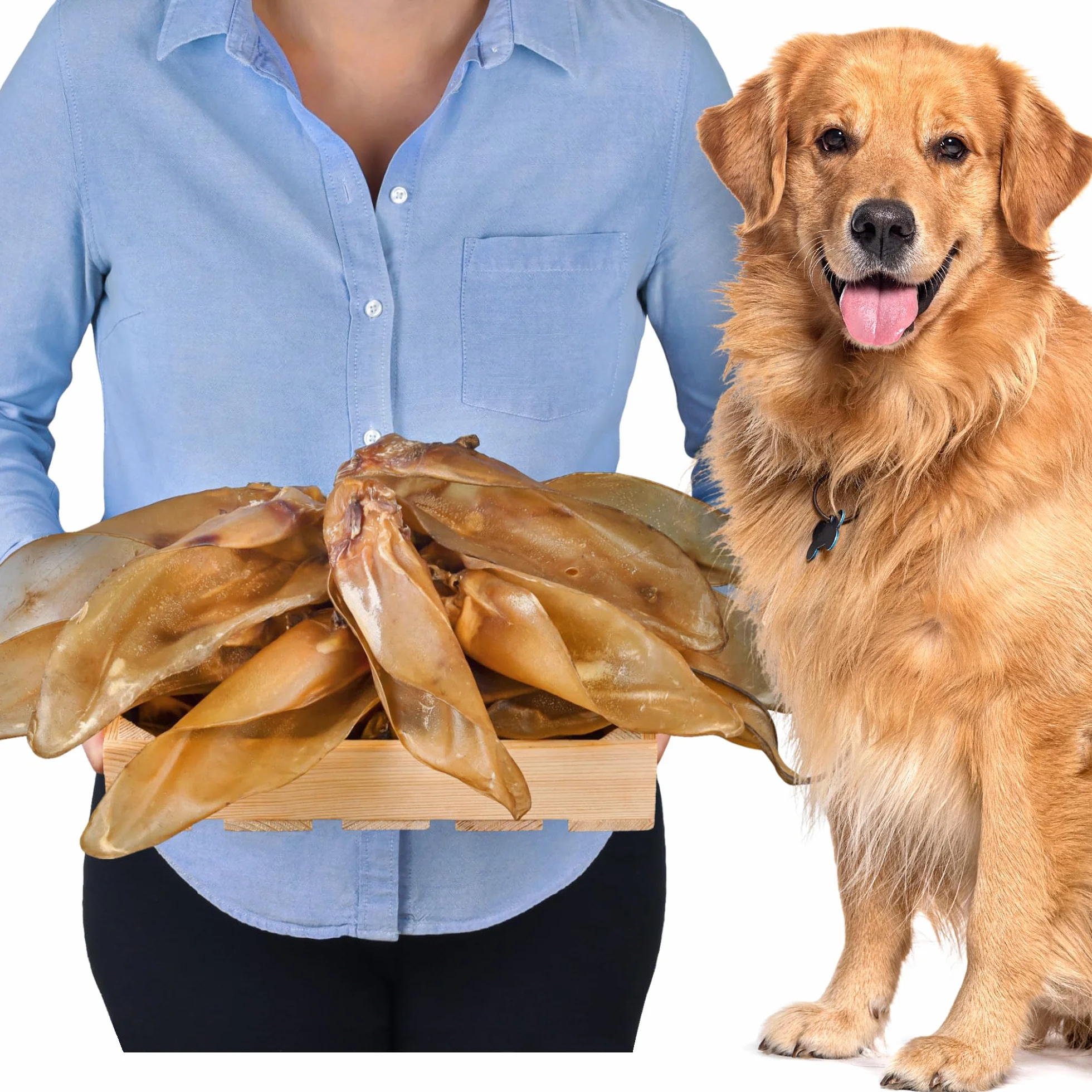 Oreilles de boeuf naturelles pour chien 10 pièces 700 g collation longue mastication soins dentaires sans additifs