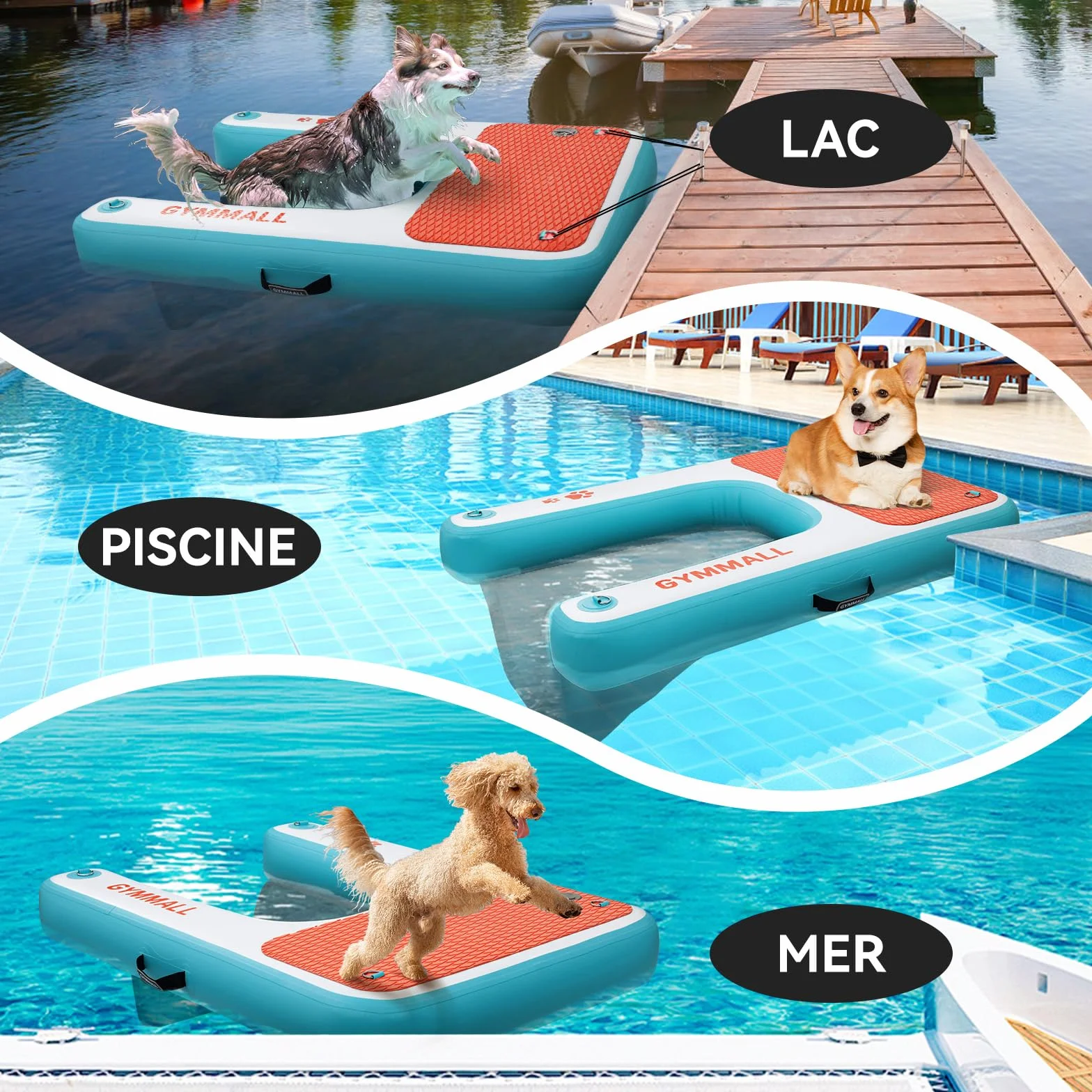 Plateforme Flottante pour Chien 120x82cm Antidérapante Jusqu'à 100kg