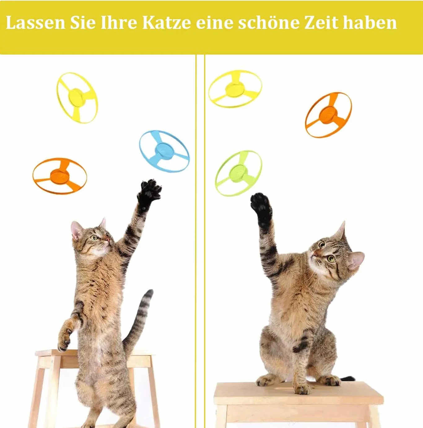 Cat Fetch Jouets Interactif Volants pour Chat avec Lanceur et 10 Disques