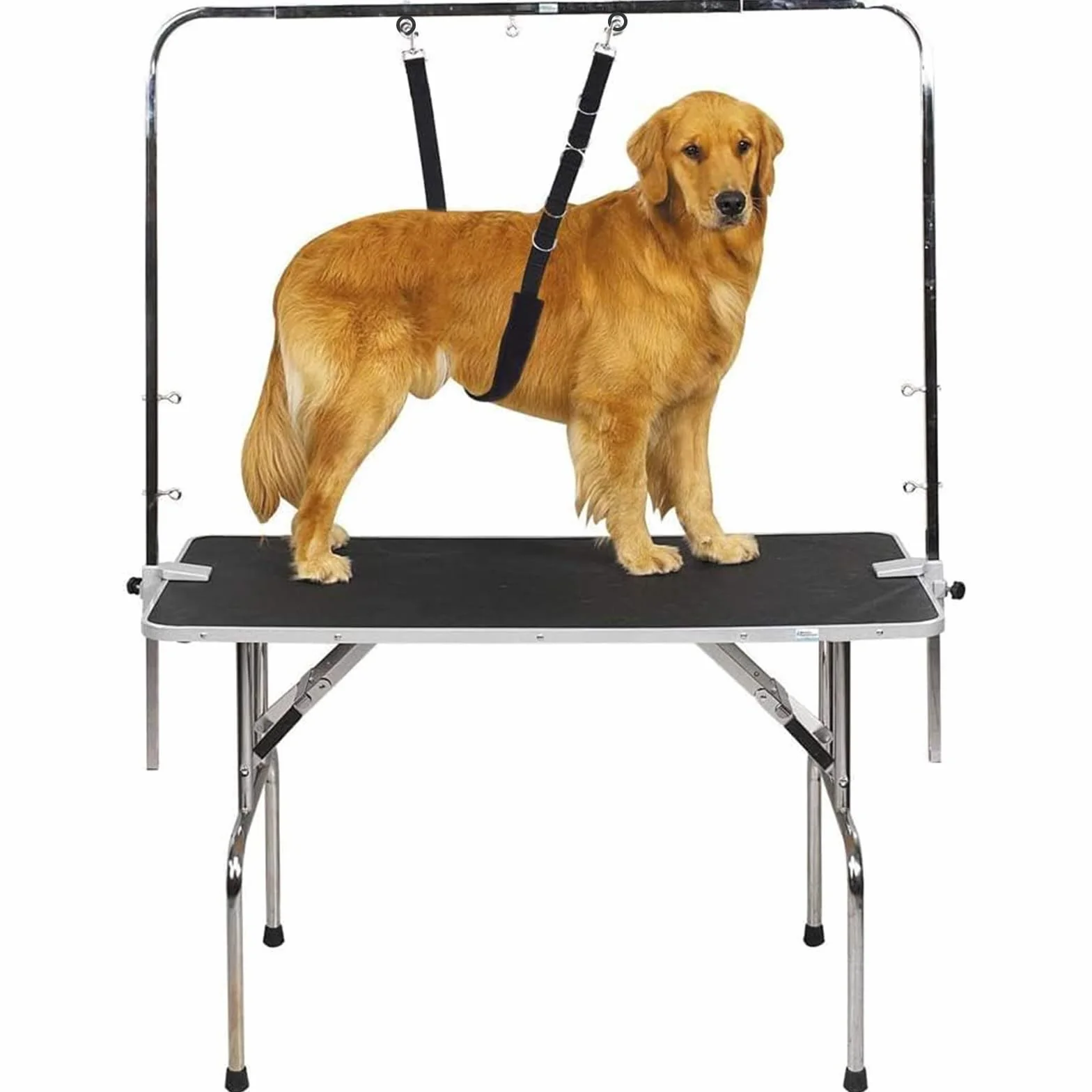 ASOCEA Bande de Sangle Ventrale de Toilettage pour Chien Boucle de Retenue de Bain Réglable Nylon pour Chat Chiot Chaton