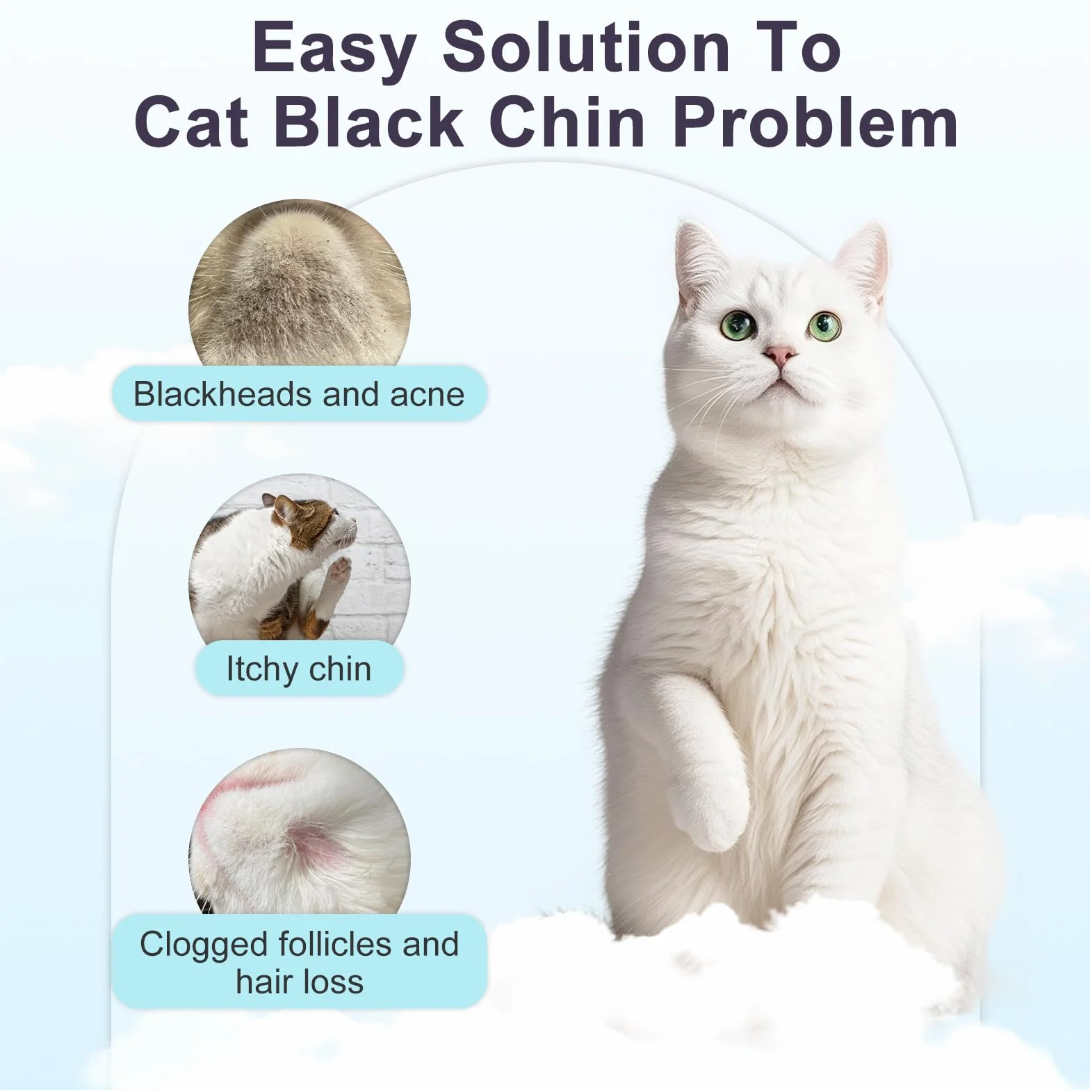 Nettoyant de Menton pour Chat Anti-acné 65 ML avec Brosse et Lingettes