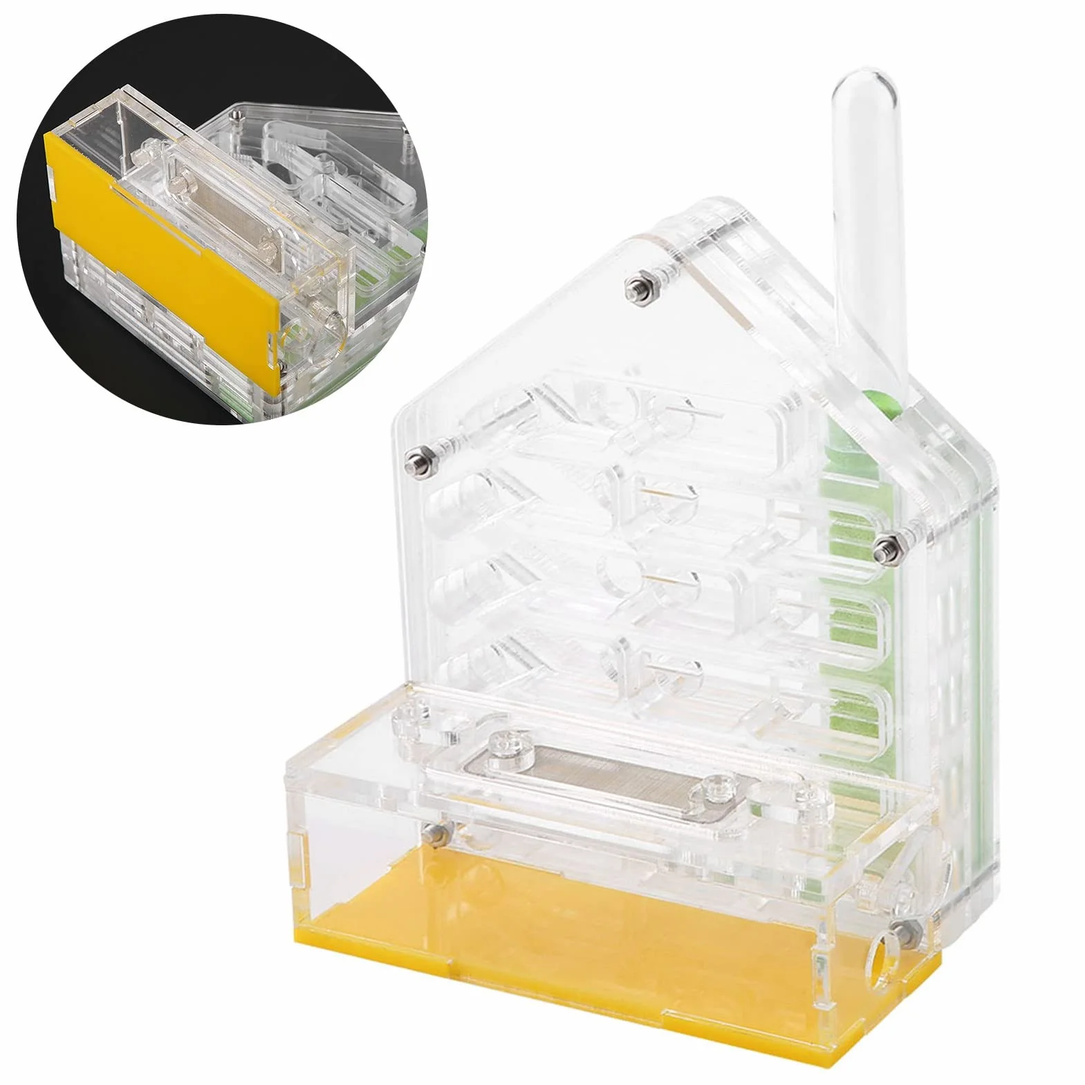 Formicarium Nourriture pour Fourmis 12×11×8 Acrylic Farm The Farm is Alive