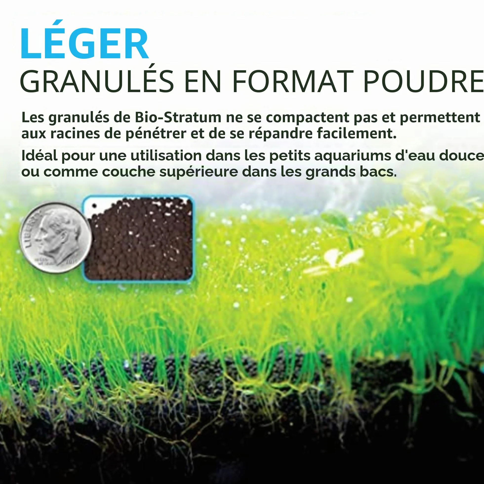 Fluval Bio Stratum Substrat volcanique pour Aquarium planté, 2 kg