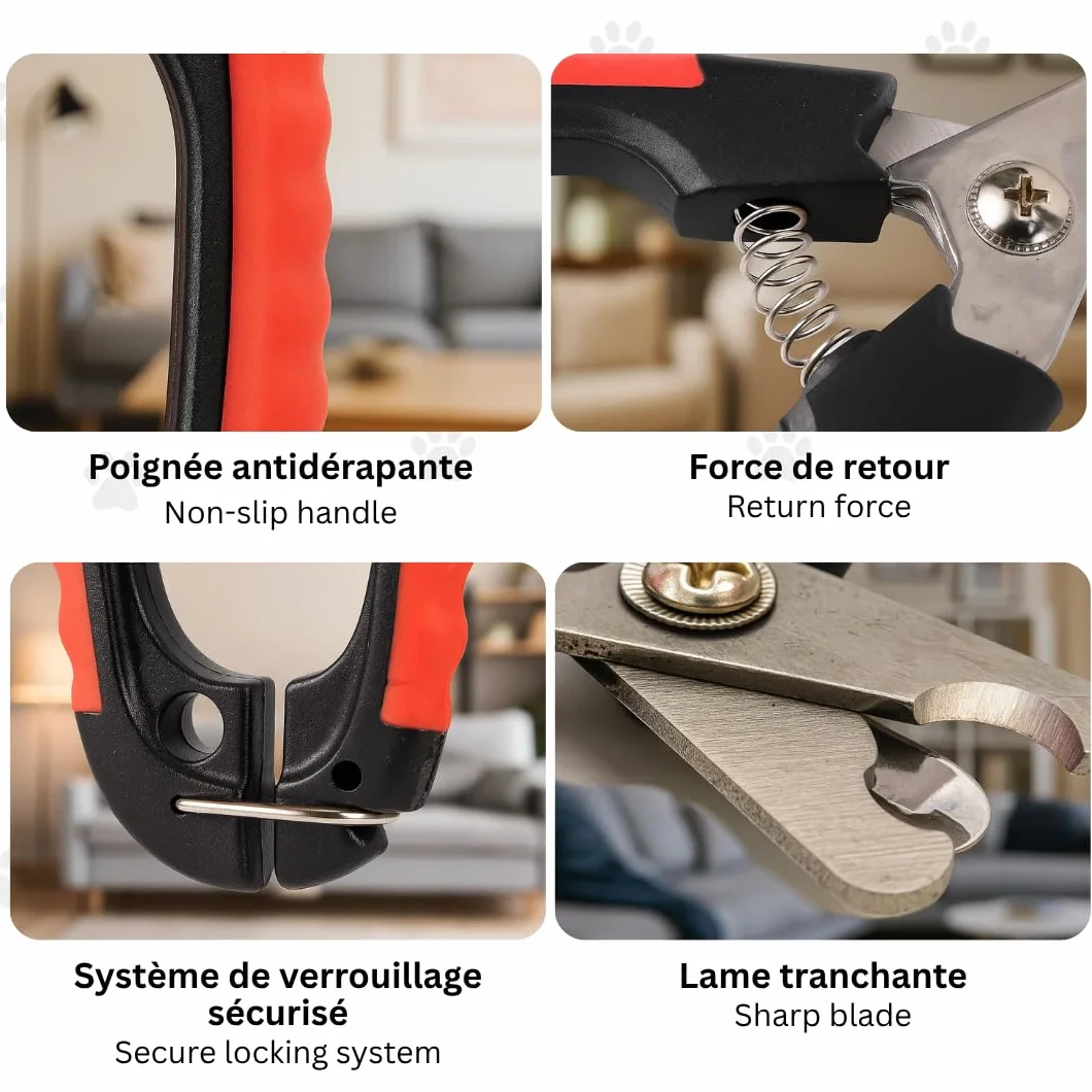 Ciseaux Professionnels pour Ongles Chiens Chats Toilettage Précision Rouge