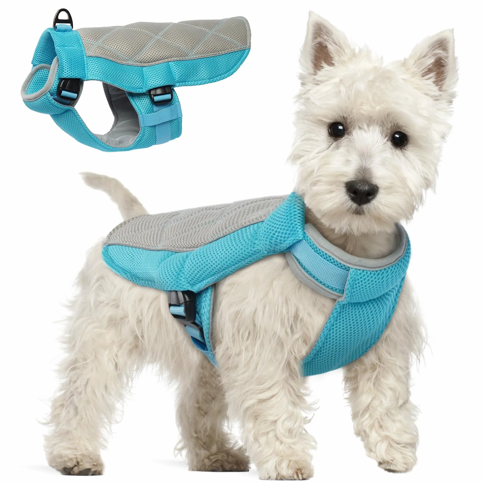 Gilet Rafraichissant pour Chien, Manteau de Refroidissement Respirant, Bleu