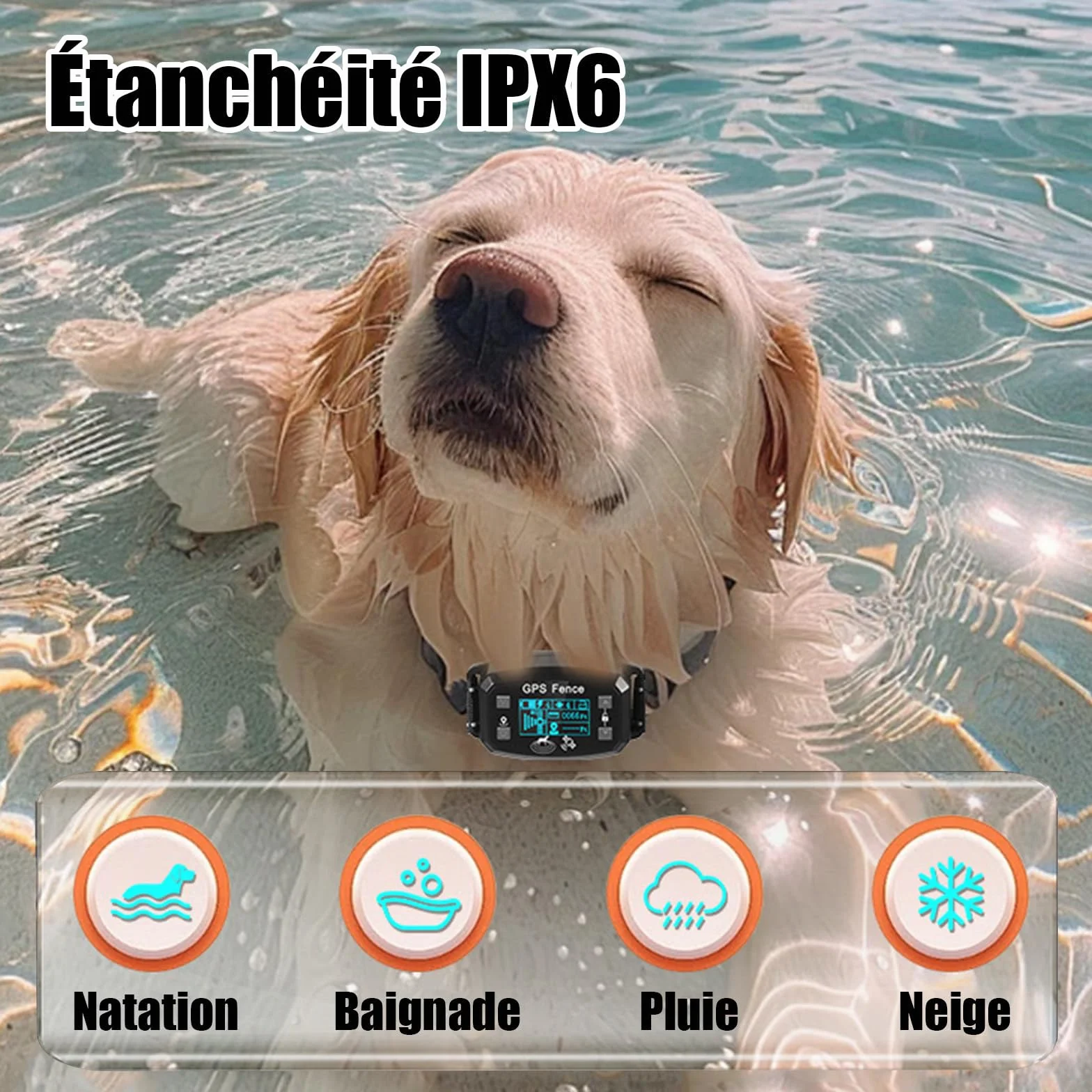Billg Collier de Dressage pour Chien sans Fil GPS Résistant à L'Eau, 3 Modes Clôture Anti-Fugue, Portée 30-2000m, 9 Niveaux de Sensibilité