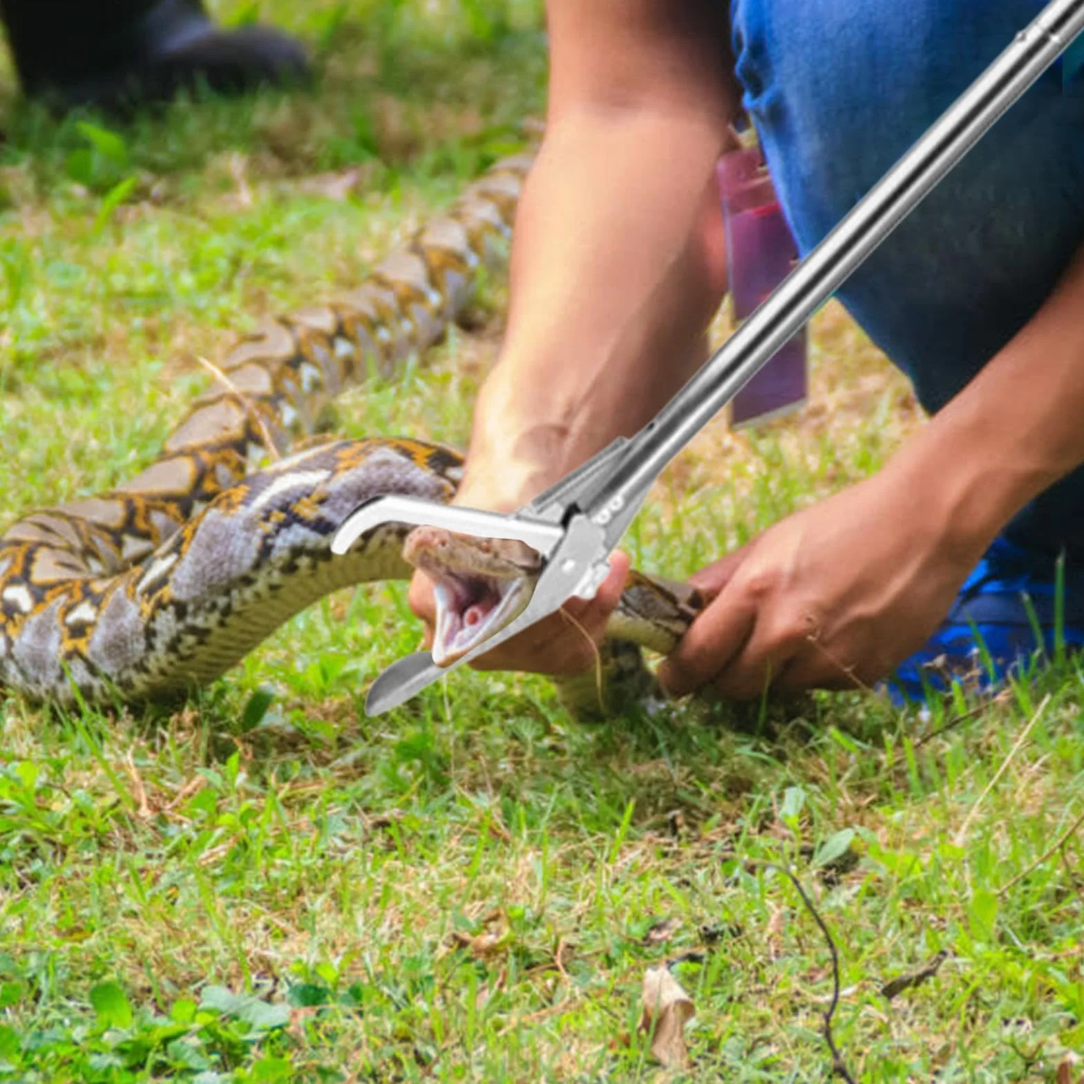 Pince à serpent tige allongée pliable – Crochet serpent attrape-reptiles pour randonnée camping