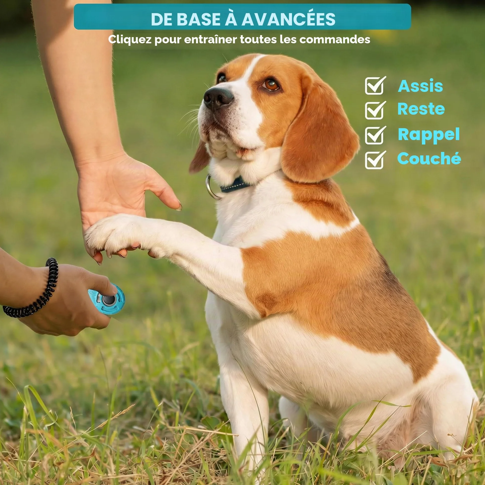 Clicker de Dressage pour Animaux de Compagnie avec dragonne – Clicker de Dressage pour Chien (Nouveau Noir + Bleu)