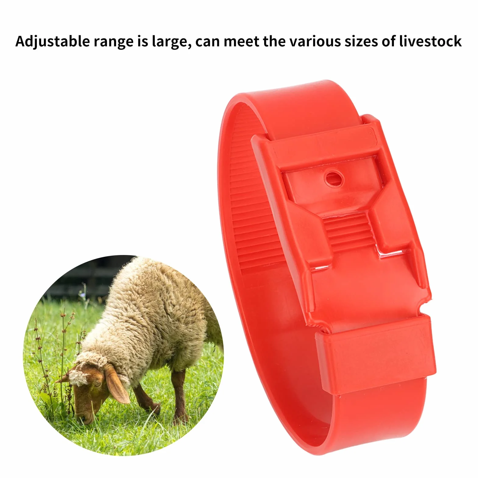 Colliers d'Identification pour Chèvres et Moutons, Bandes de Marquage de Bétail, Rouge, 36 cm, 10 Pièces, pour Petits Animaux de Ferme
