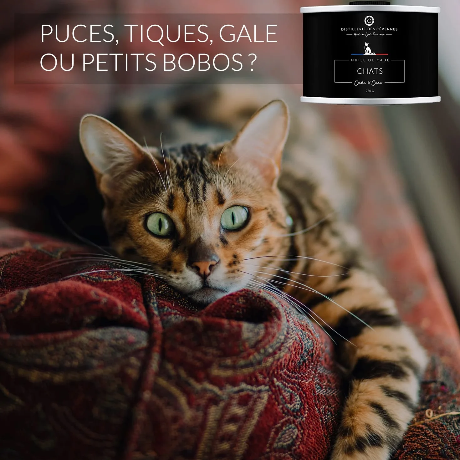 Huile de Cade pour Chats 250g Distillerie des Cévennes Fabriquée en France