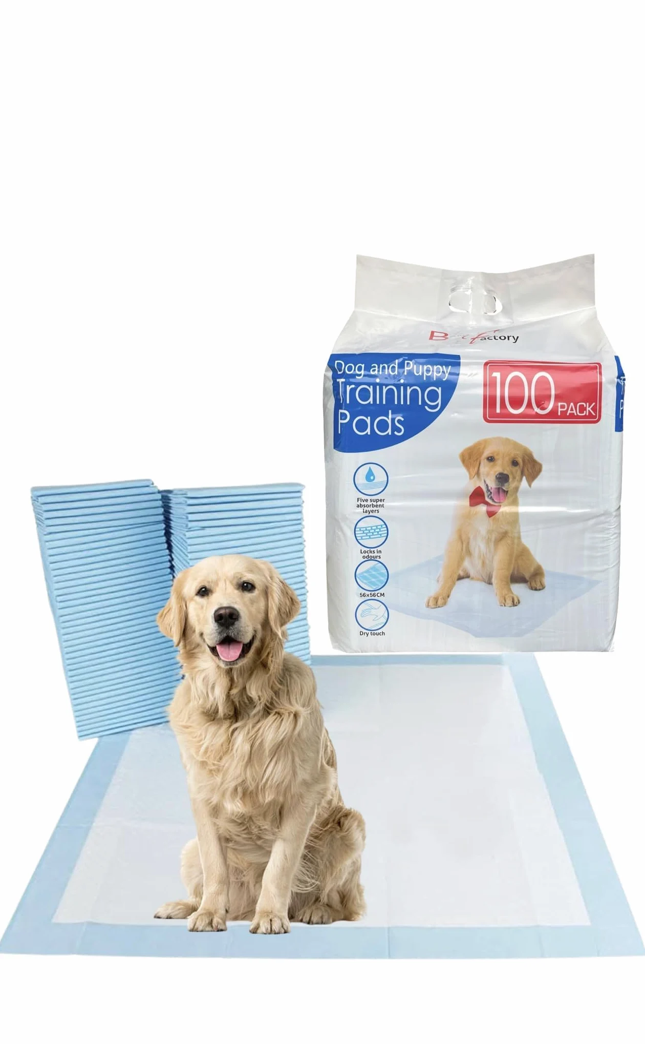 Bargain Factory - Lot de 100 Tapis d'apprentissage de la propreté pour Chiens et Chiots - 5 Couches Super absorbantes et imperméables - 56 x 56 cm - Tapis d'urine jetables pour Chiot