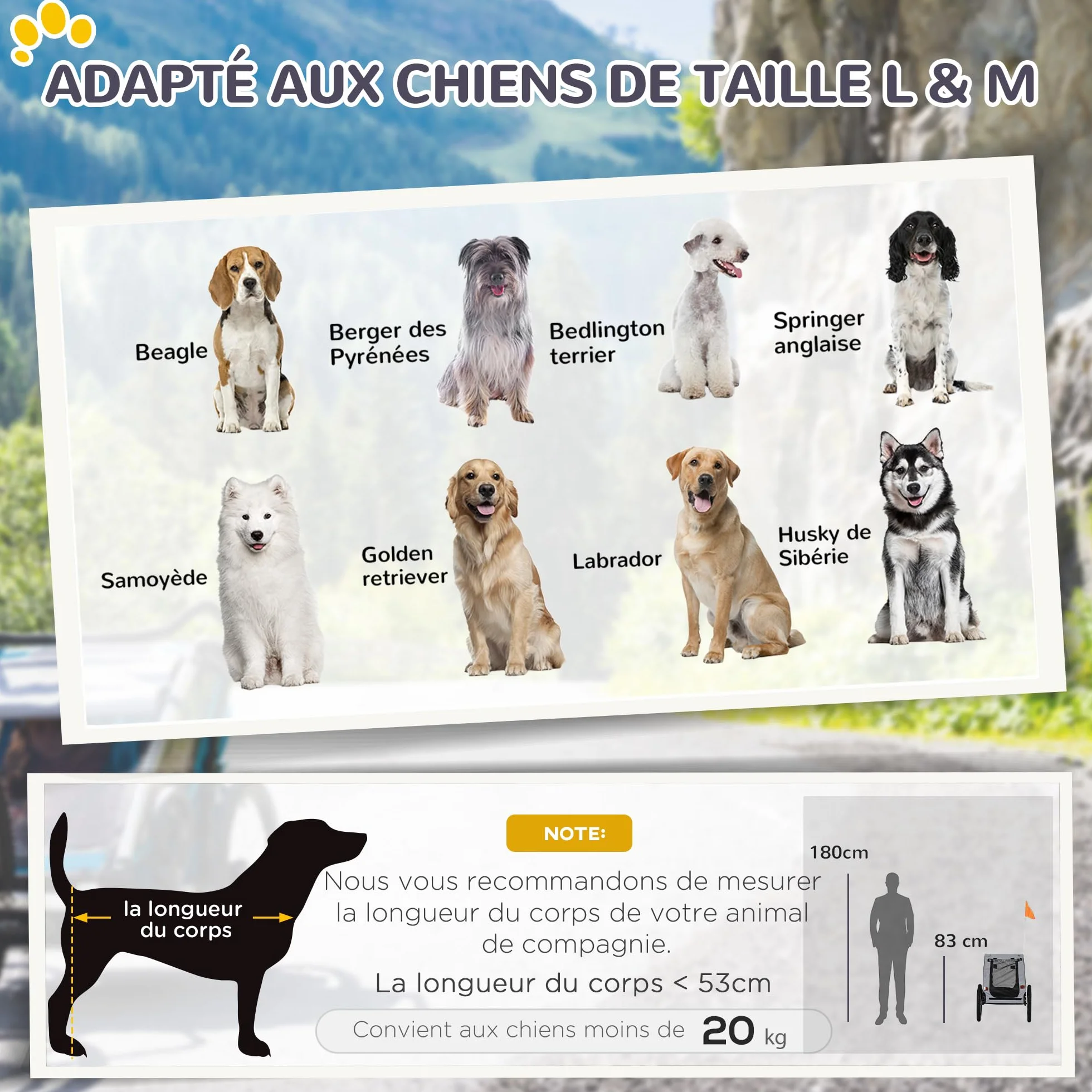 PawHut Remorque vélo Chien avec pneus 20 Pouces - Chariot pour Chien Moyen avec Structure en Acier et Mailles renforcées - Transport Animaux pour VTT et Balade extérieur